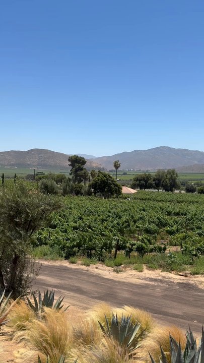 Casa Pedro Domecq - Views - Wineries Near Me - Ensenada, BCN