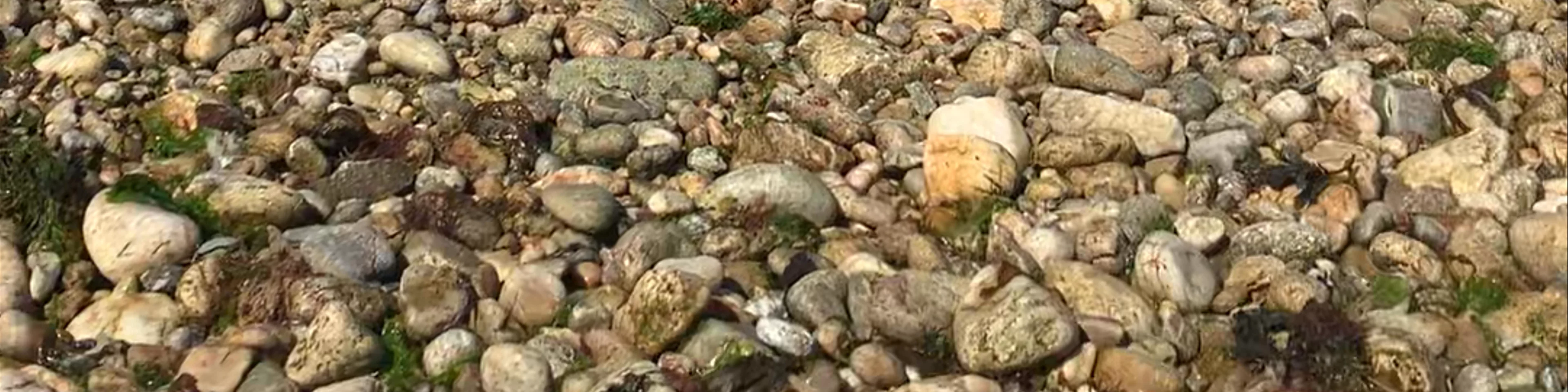 Le Pied du Mûr (Marble Bay)