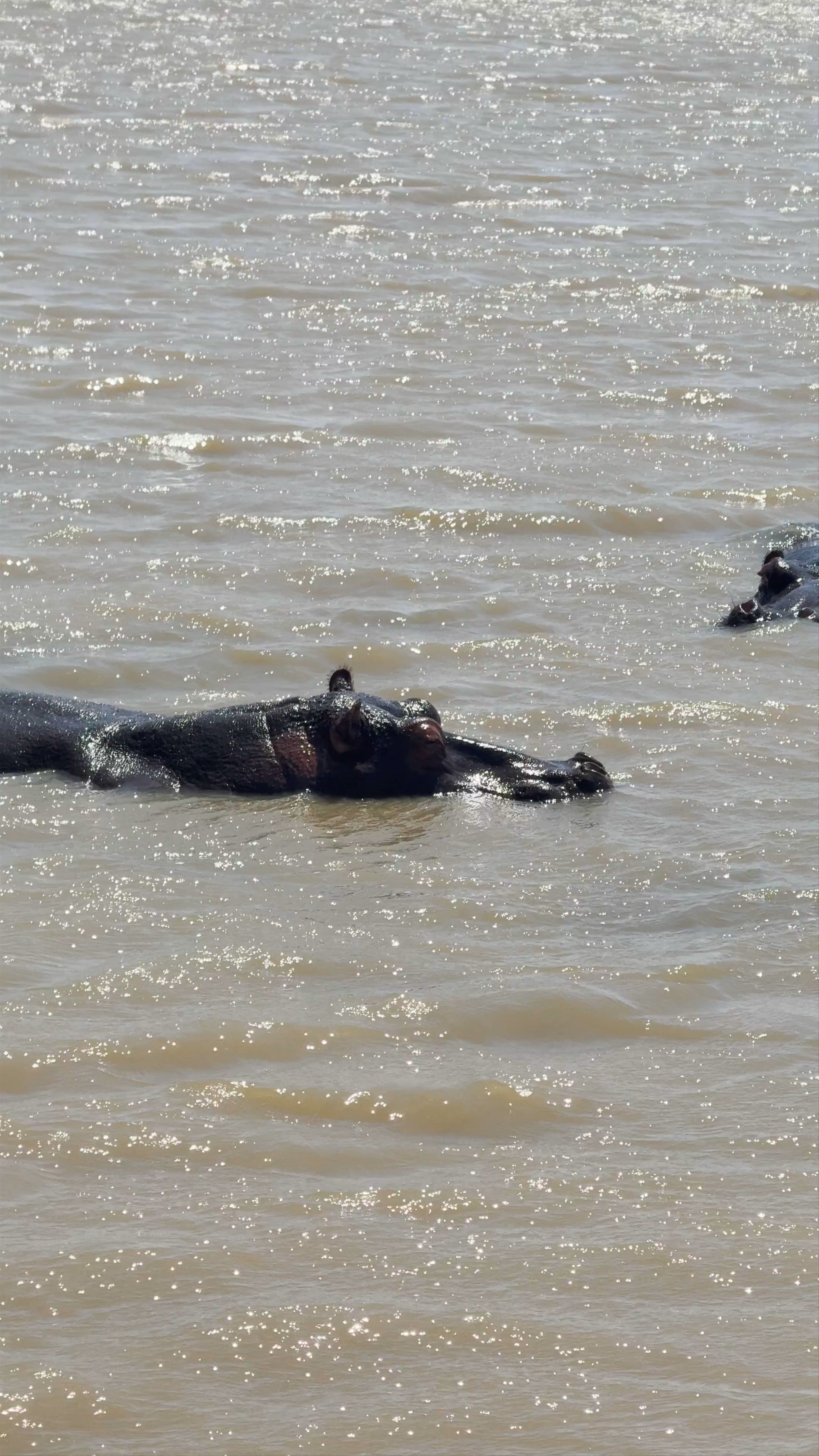 St Lucia Estuary Post Office