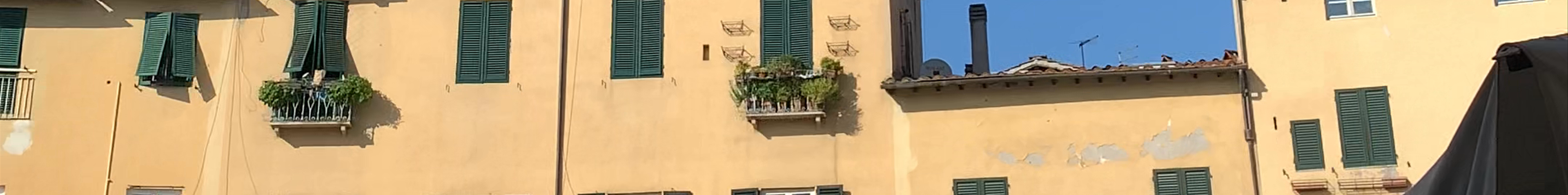 Tours & experiences in Lucca