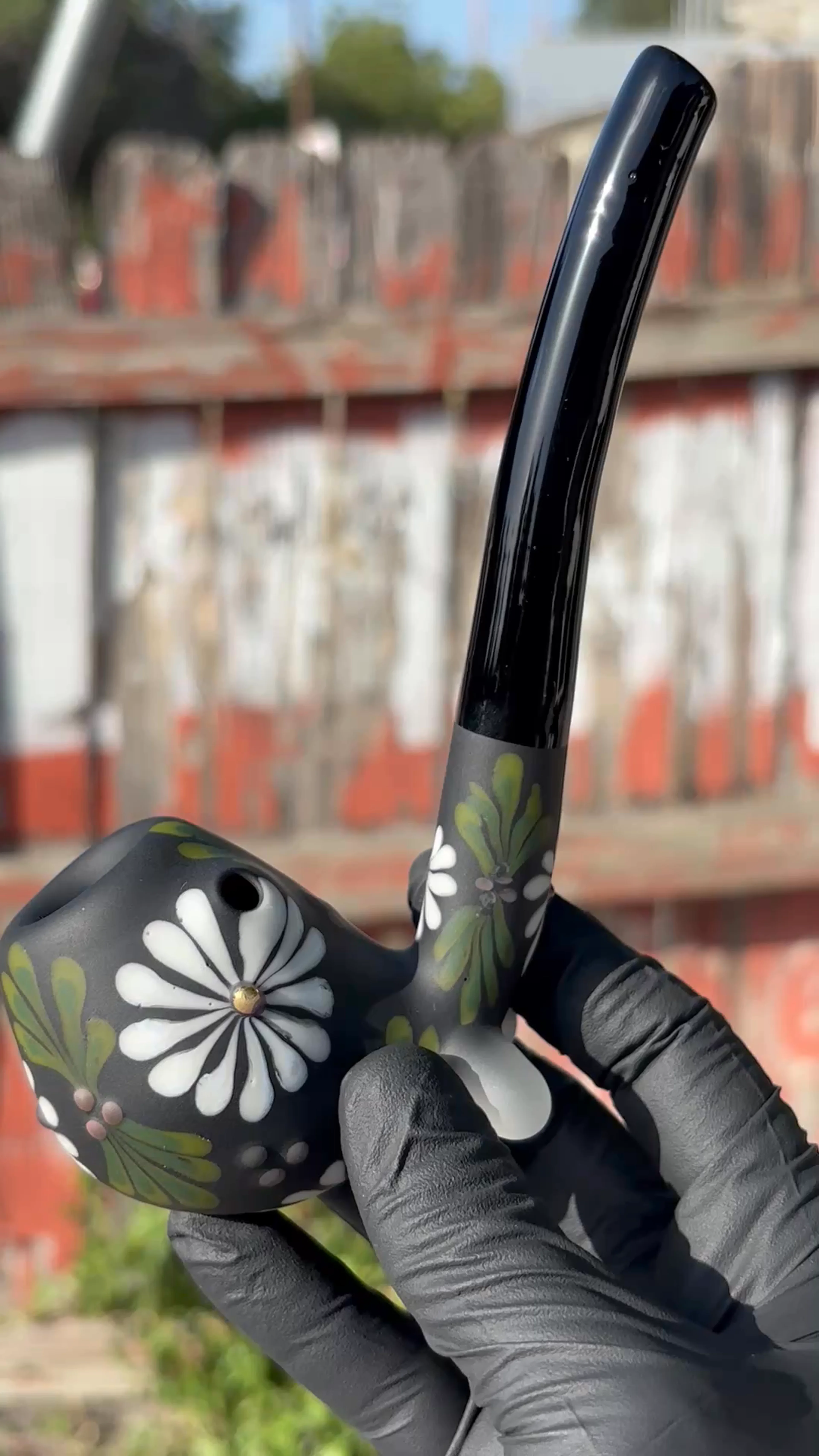 Preview pic of Sarita dry pipe