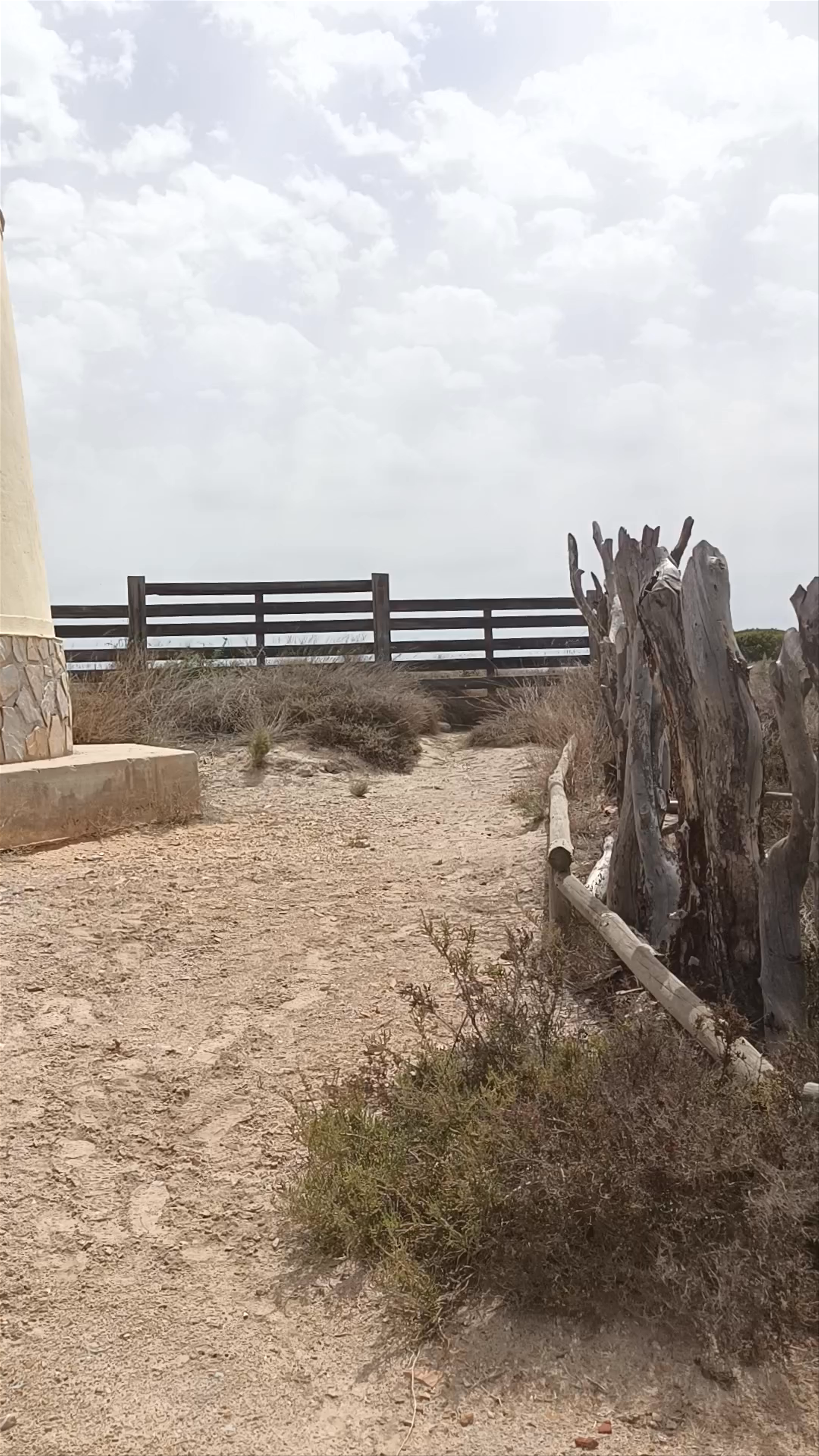 Bird Observatory Sanctuary in San Pedro del Pinatar, Spain
