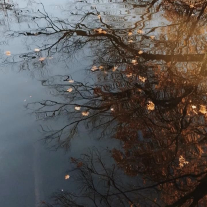 The Riverway - Parks Near Me