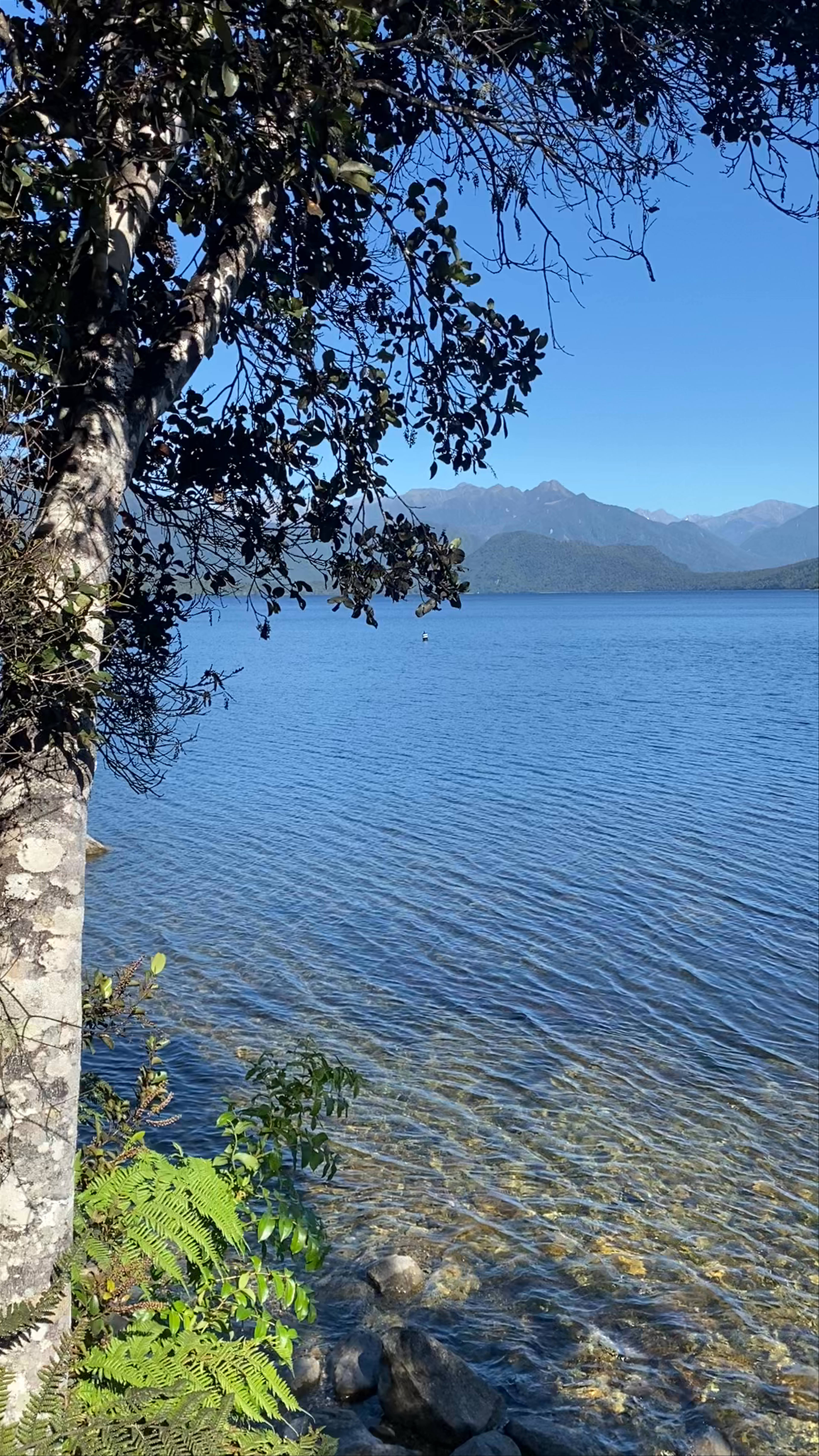 Lake Kaniere