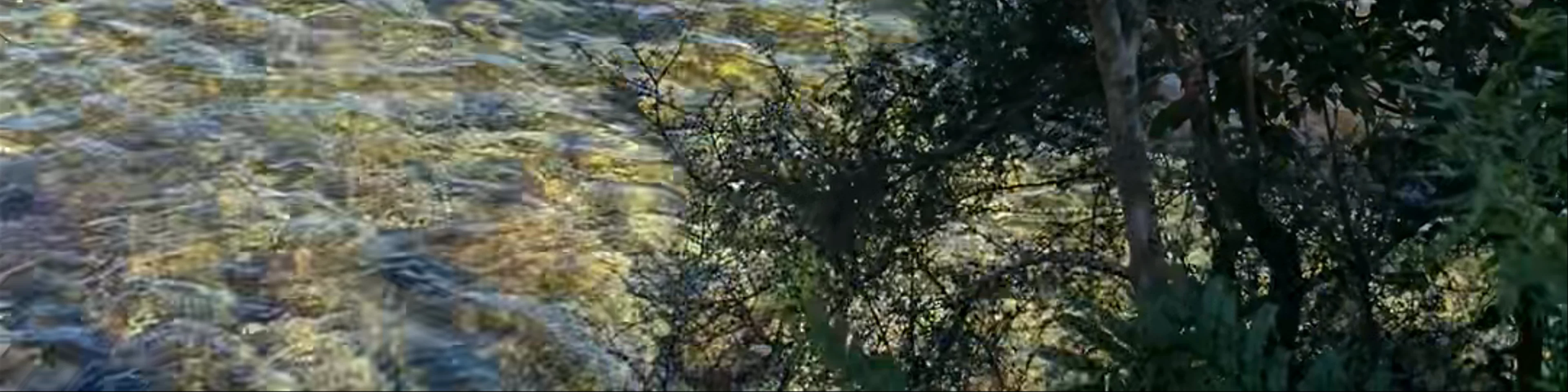 Lake Kaniere