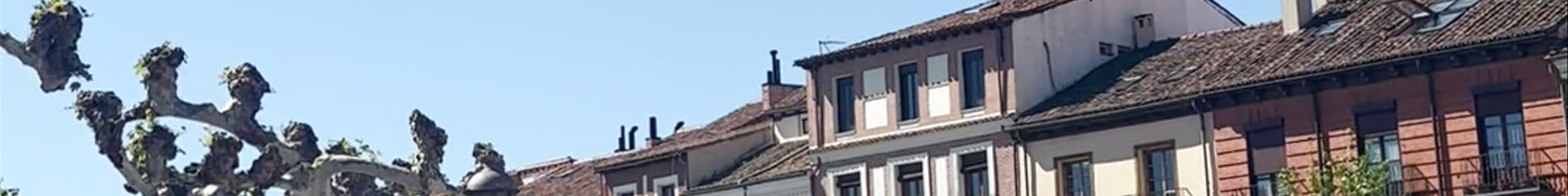 Tours & experiences in Alcalá de Henares