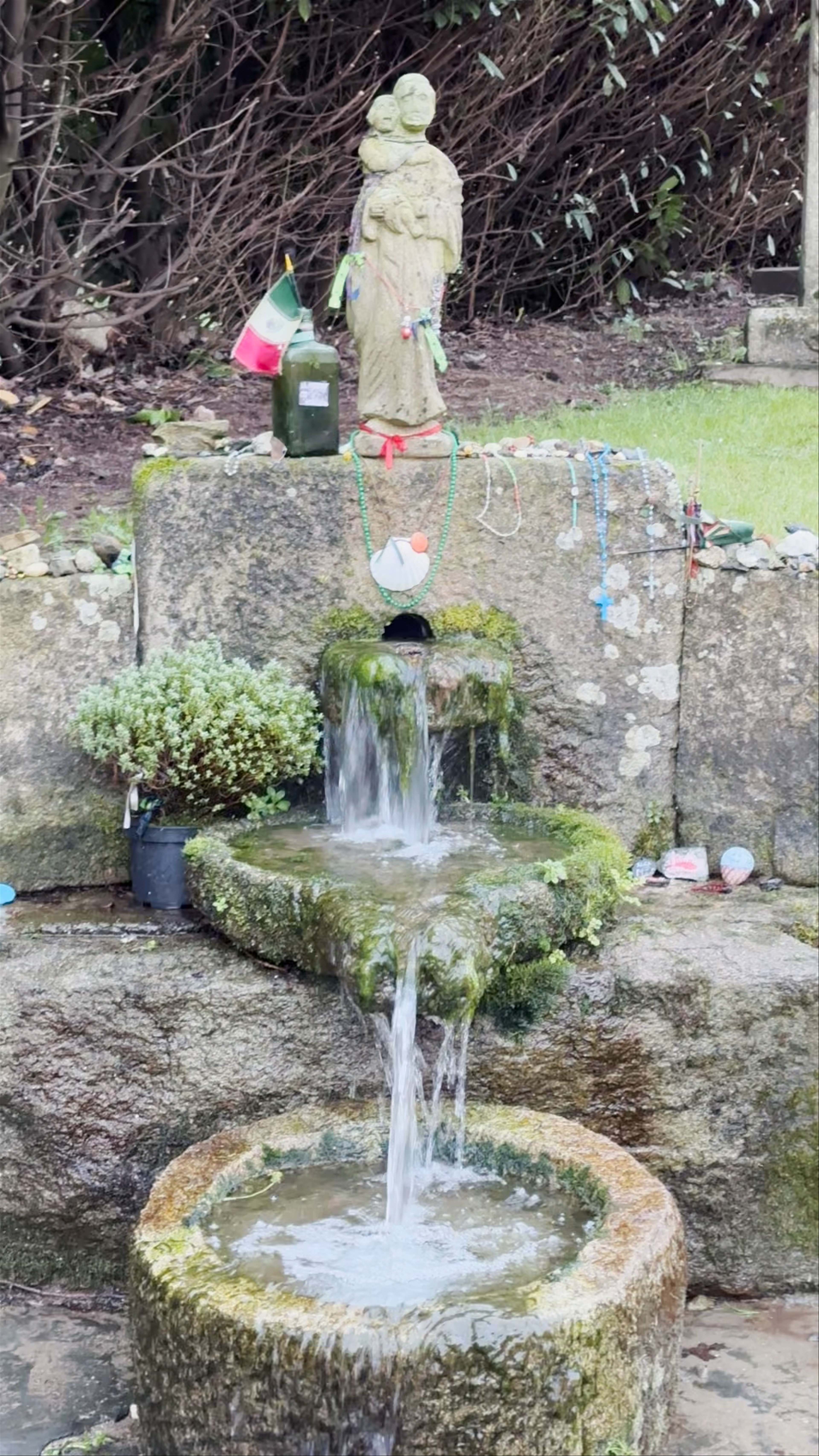 Pensión- Albergue CASA BARBADELO