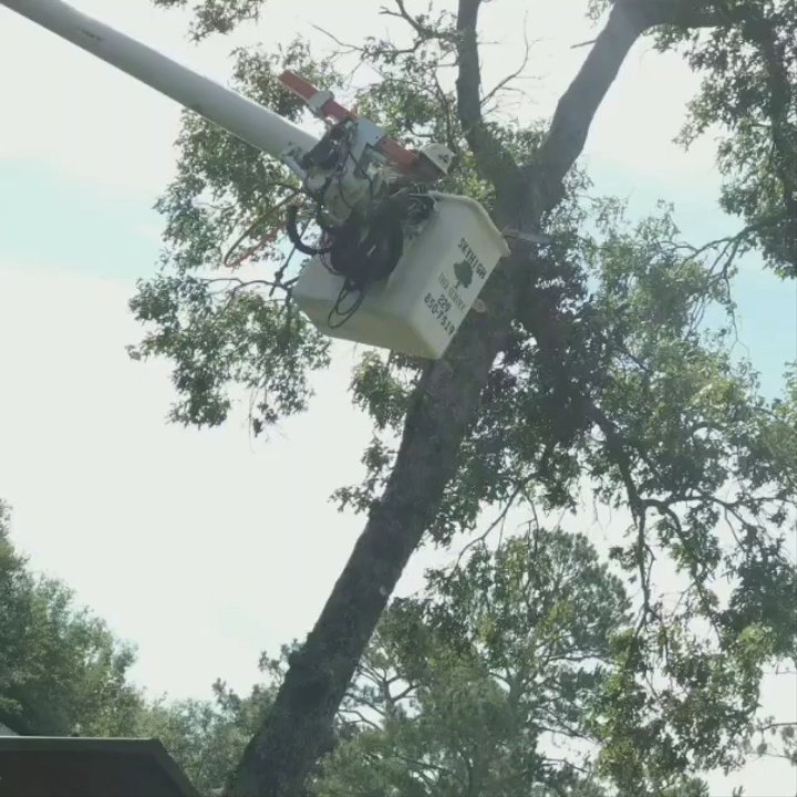 Sky High Tree Services - Sky High Tree Services - Tree Services Near Me - Moultrie, Georgia