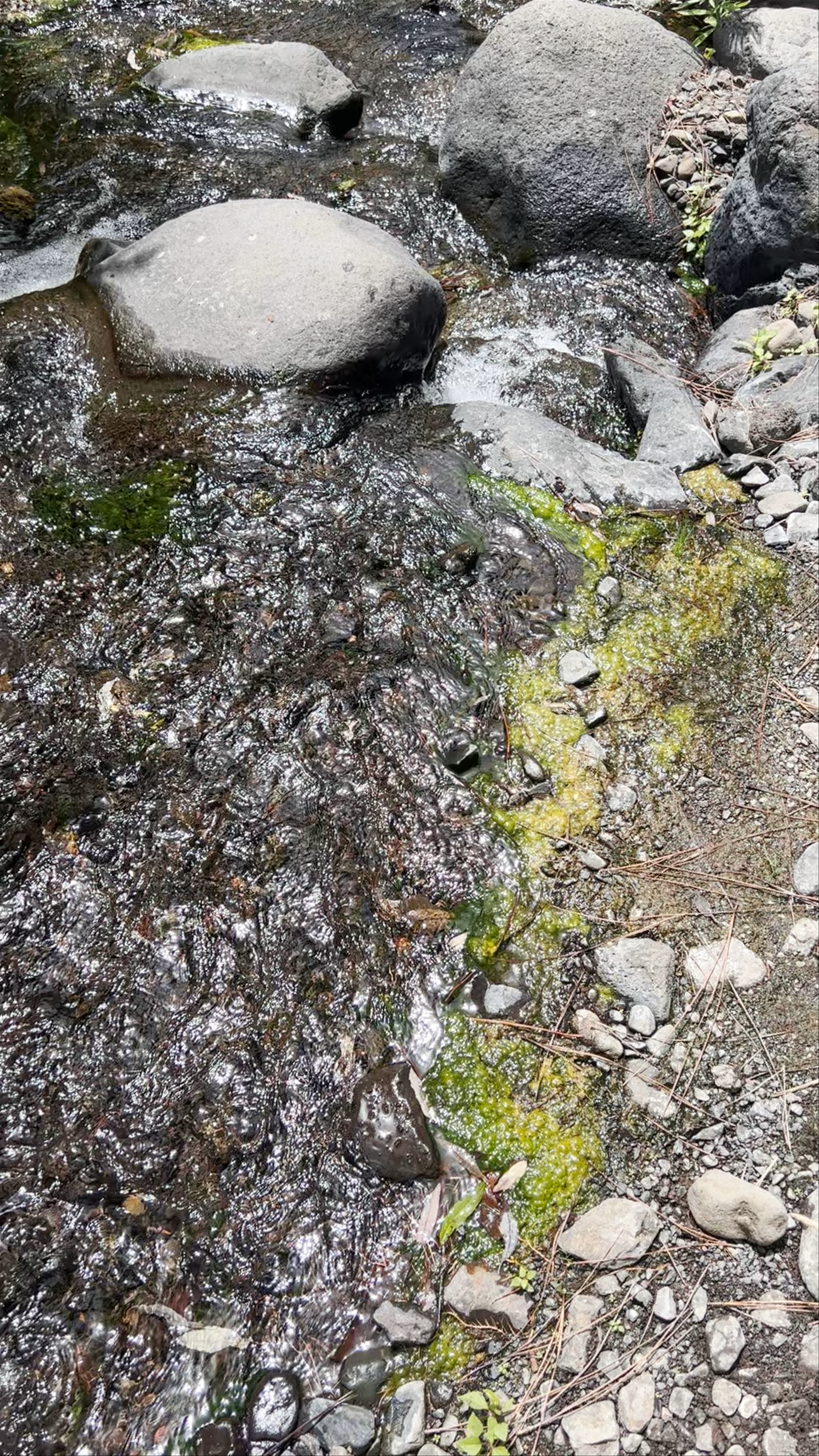 Caldera de Taburiente National Park