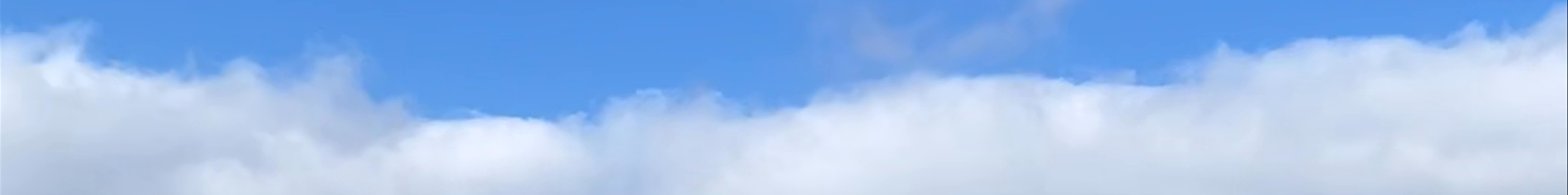 Tours & experiences in Bad Zwischenahn