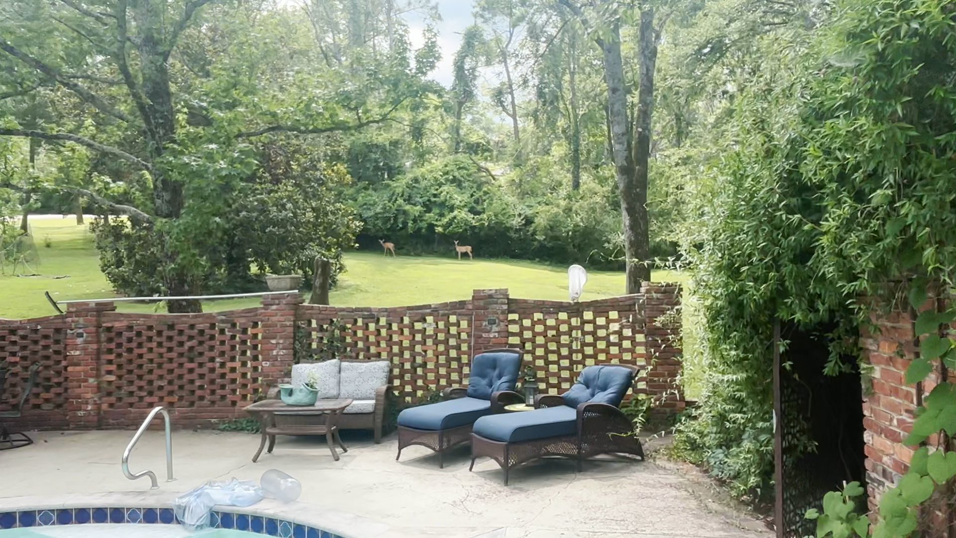 Listing photo-2
