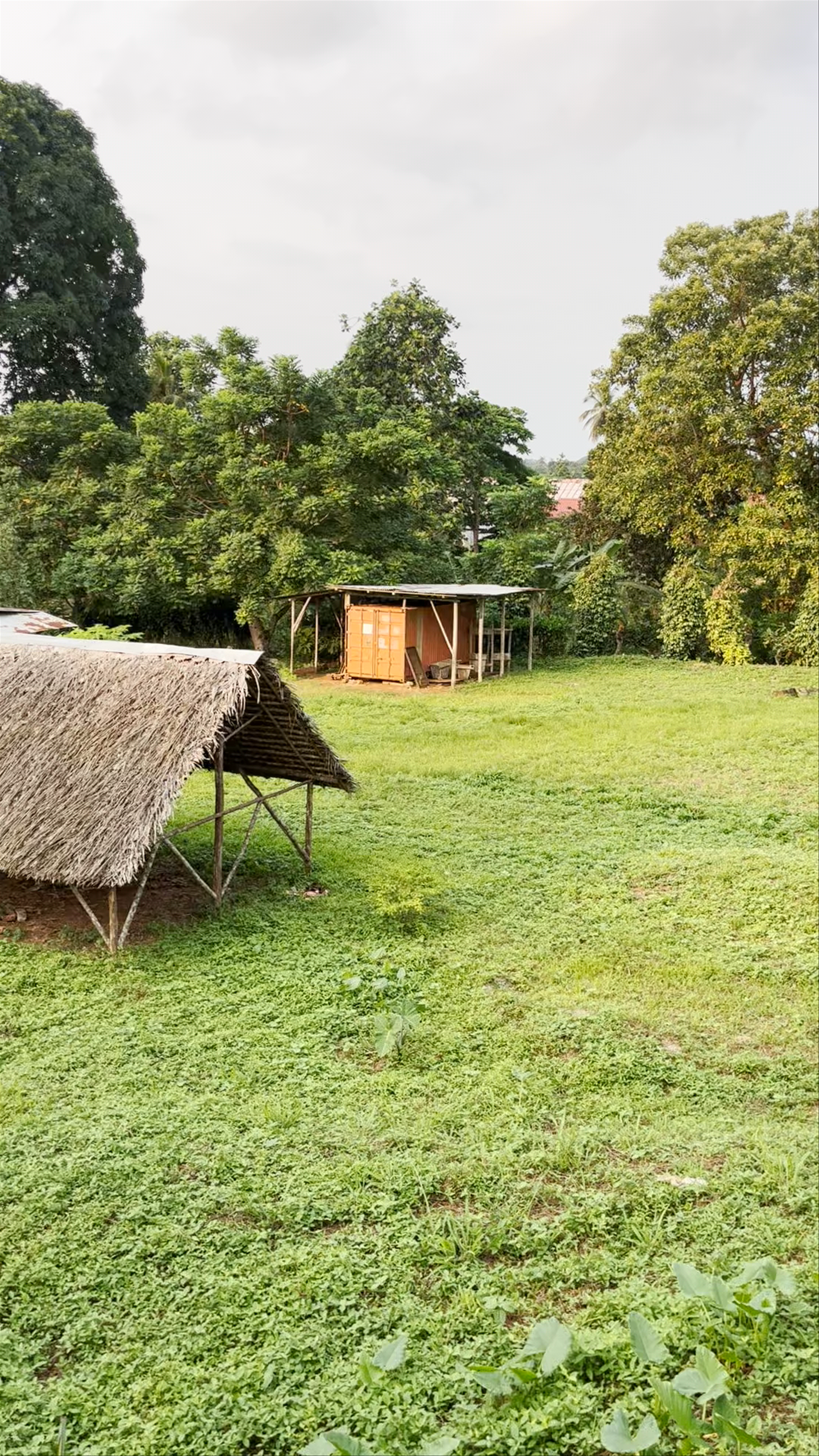 Roça do Terreiro Velho