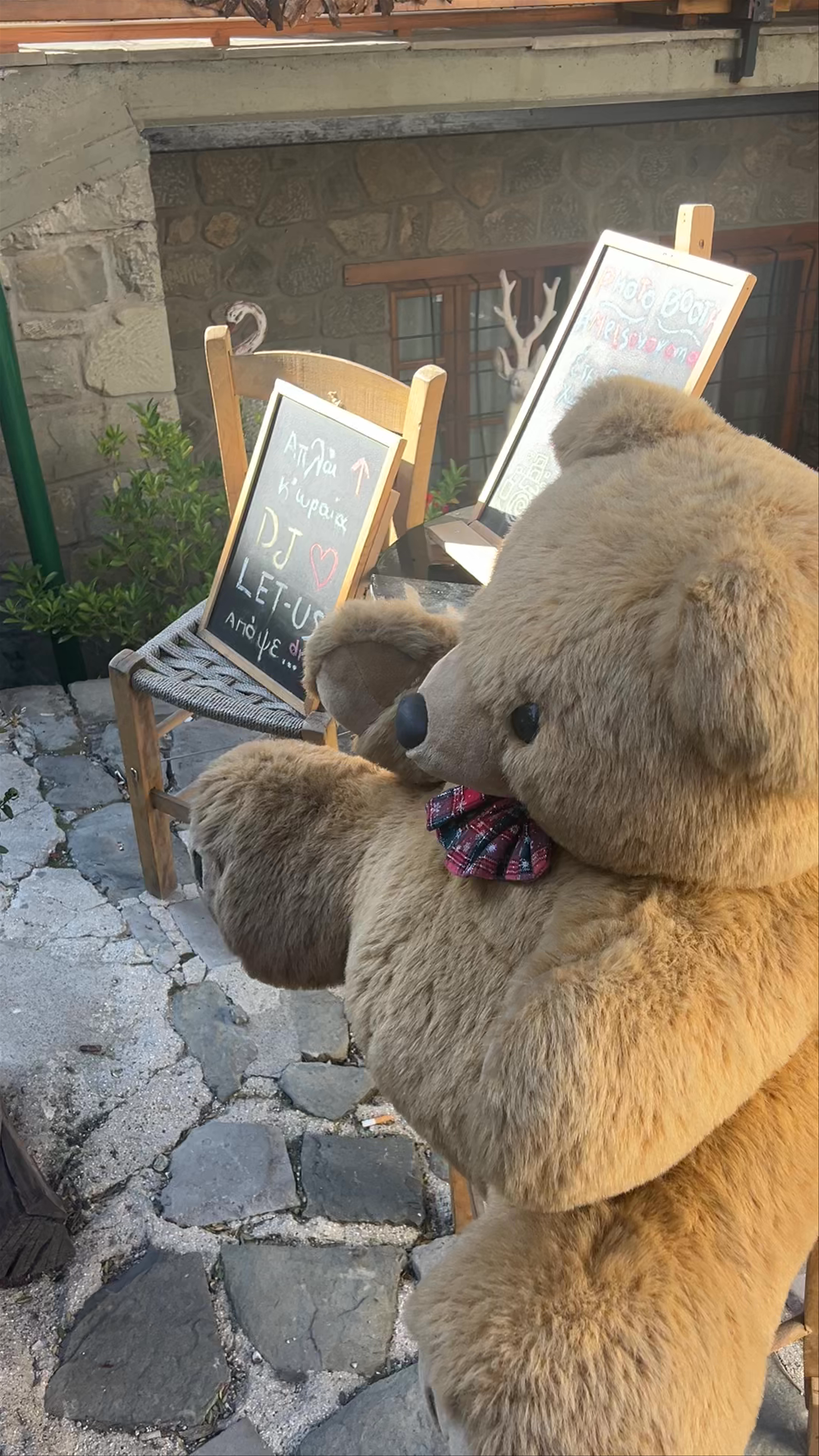 Metsovorama Cafe Bar: Cozy Mountain Charm and Bear-Themed Delight in Metsovo, Greece