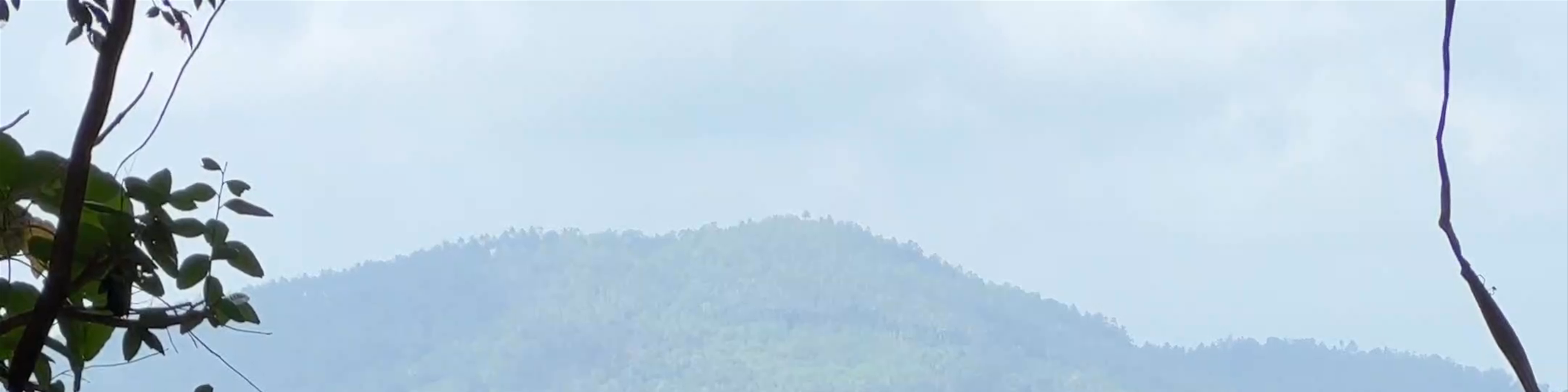 Ko Samui