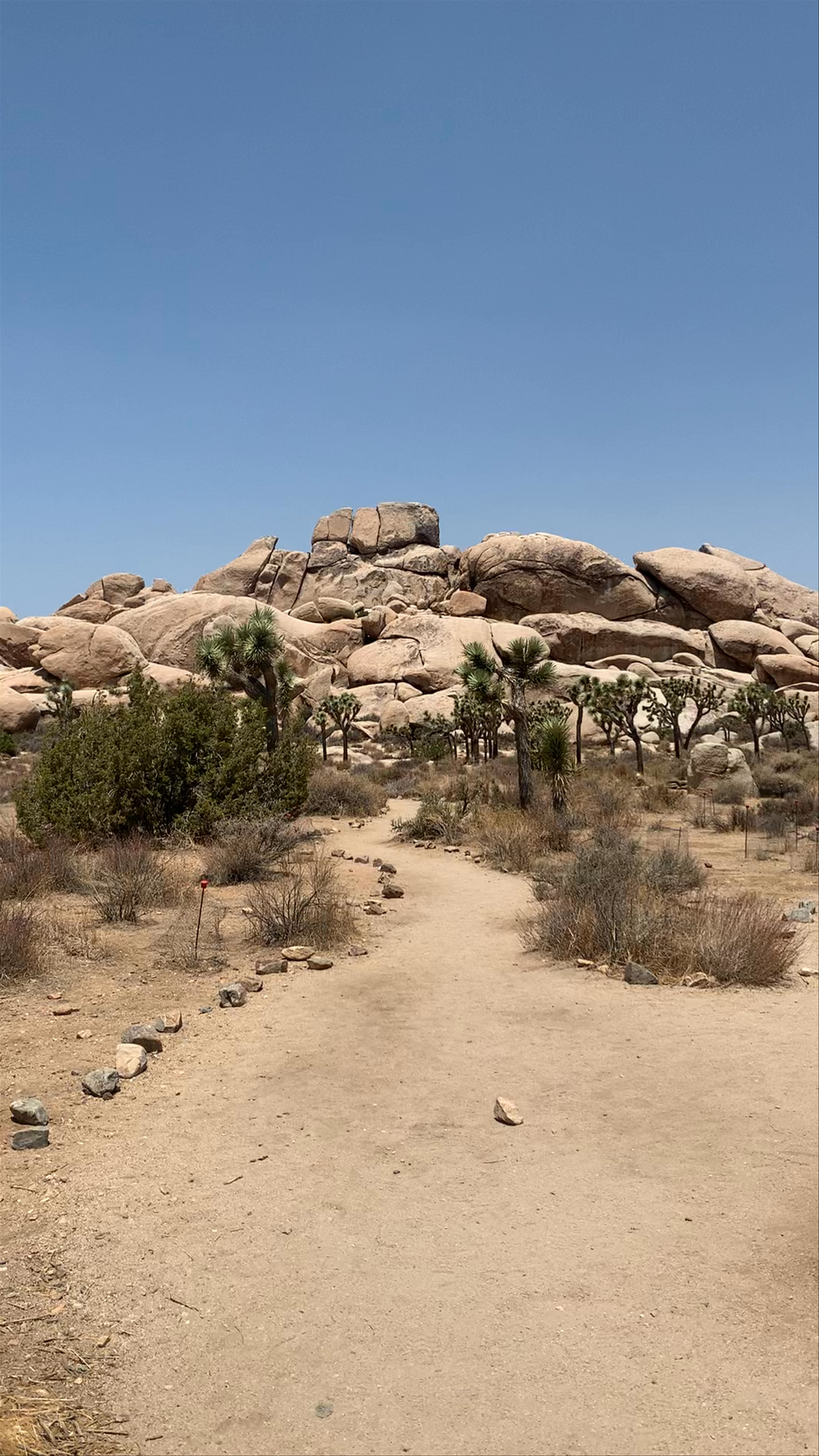 Hall of Horrors Area