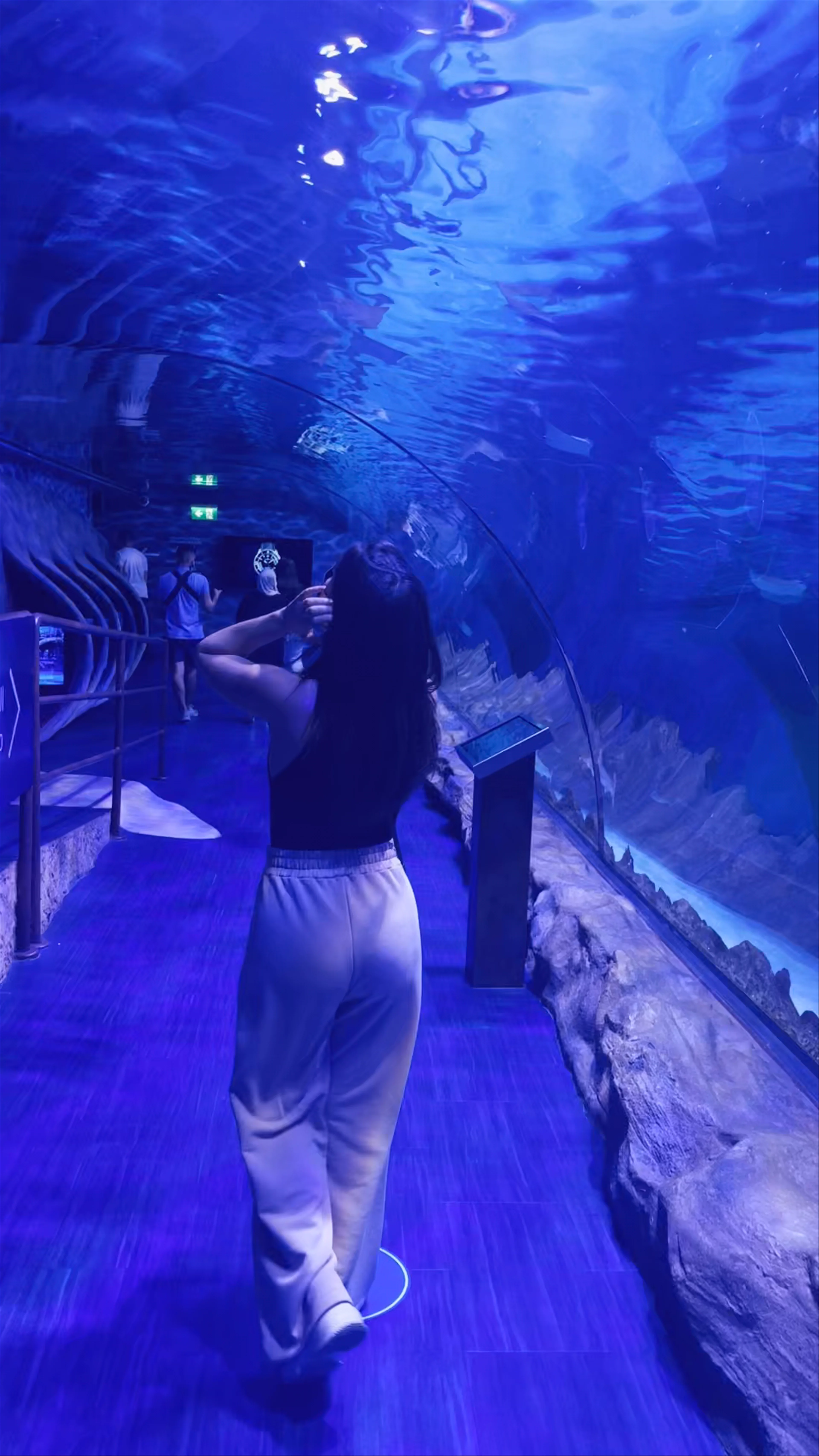 Dubai Aquarium & Underwater Zoo - شارع المركز المالي، - Dubai - United Arab Emirates