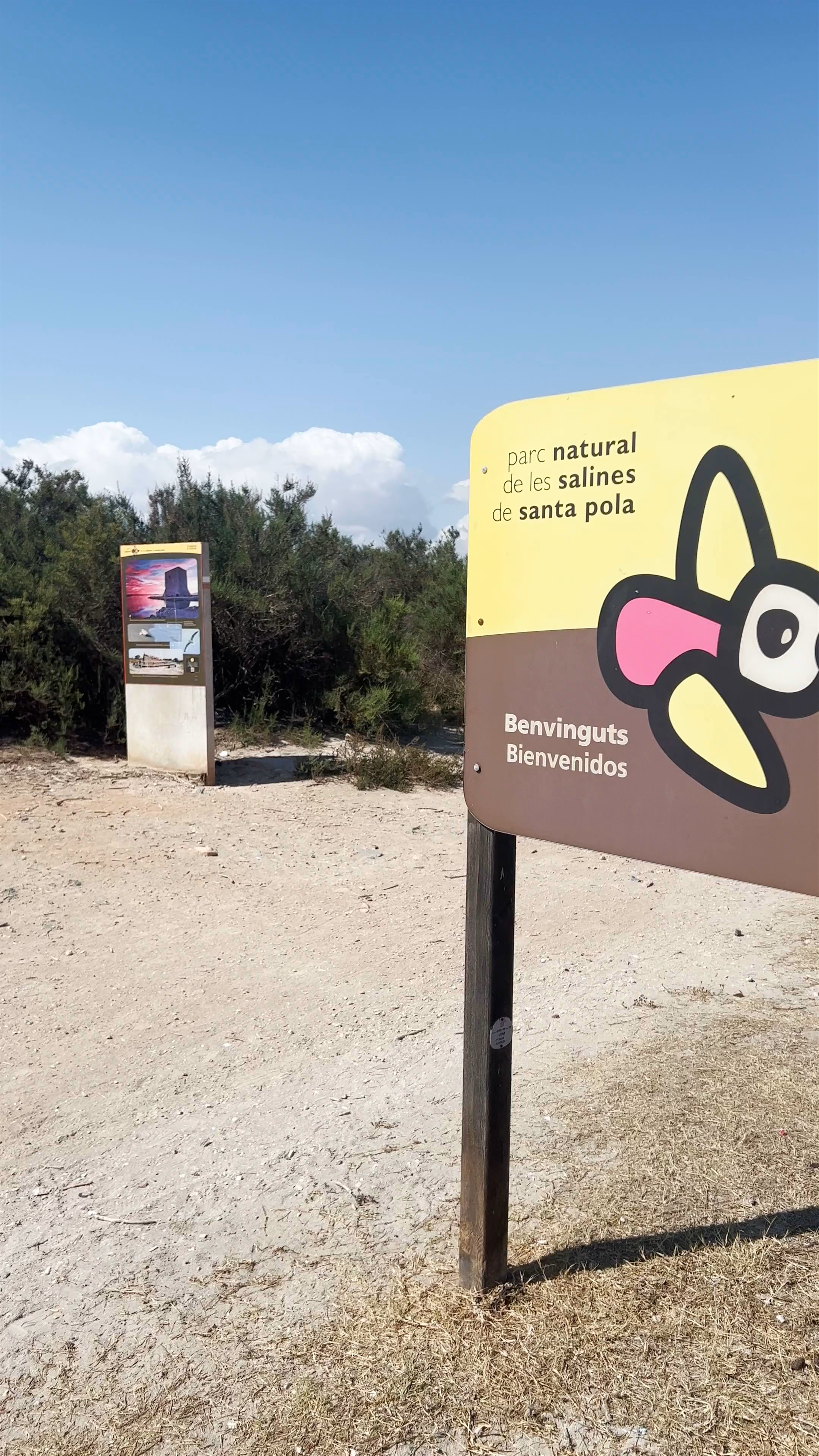 Parque Natural de ses Salines: Coastal Serenity & Natural Escape in Spain