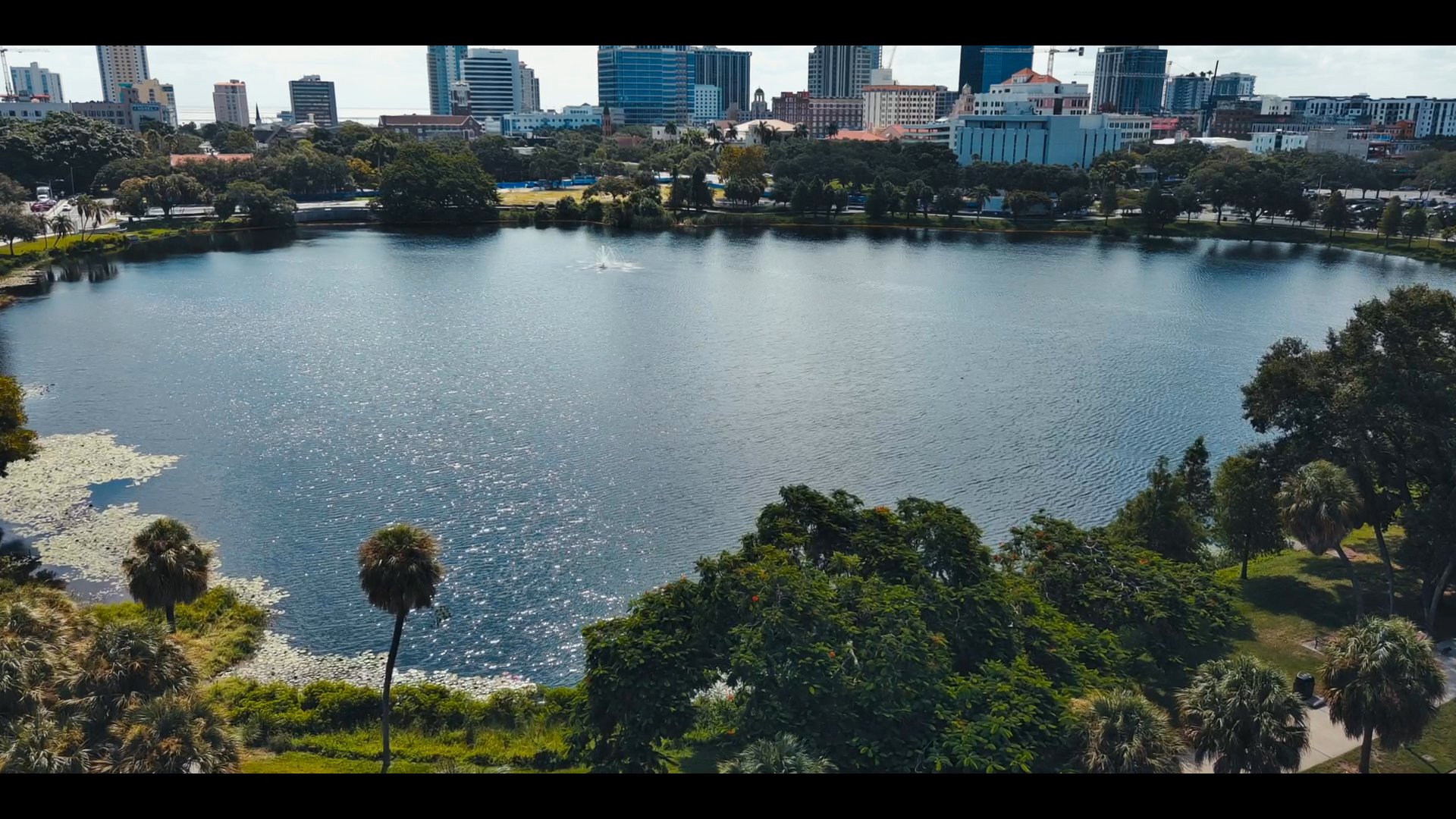 A squirrel climbs a tree trunk as white ibises congregate near a tranquil lake. The perspective shifts to a panoramic cityscape view before settling on a couple sitting together on a bench, observing the water.