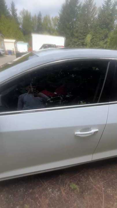 7 Star Tint - Car Window Tinting Near Me - Kirkland, Washington