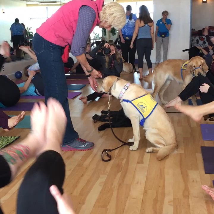 Yoga by Julia - Rolling like a ball - Yoga Near Me - Albuquerque, New Mexico