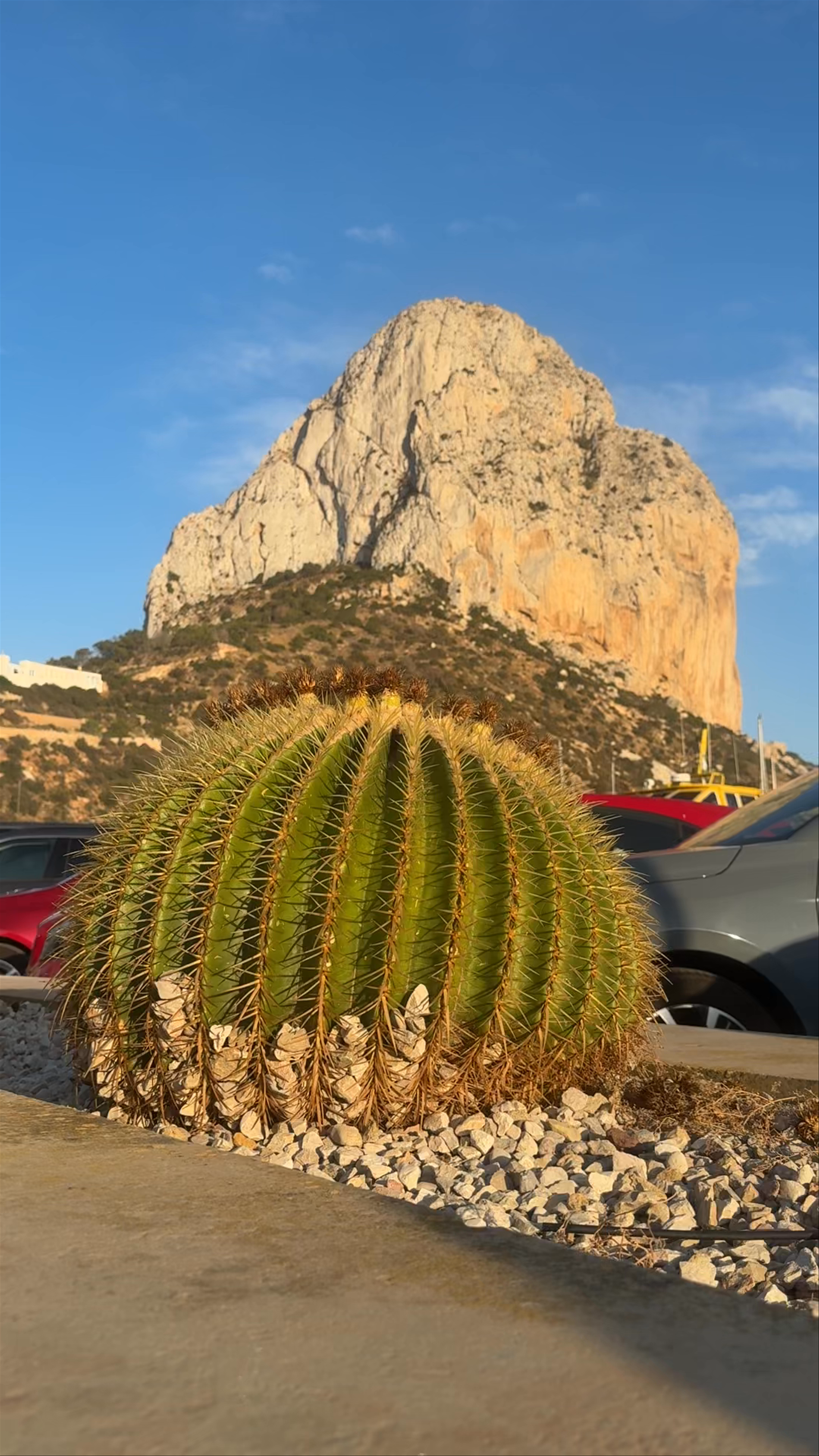 Sunlit Majesty of Peñón de Ifach and Desert Flora in Calpe, Spain