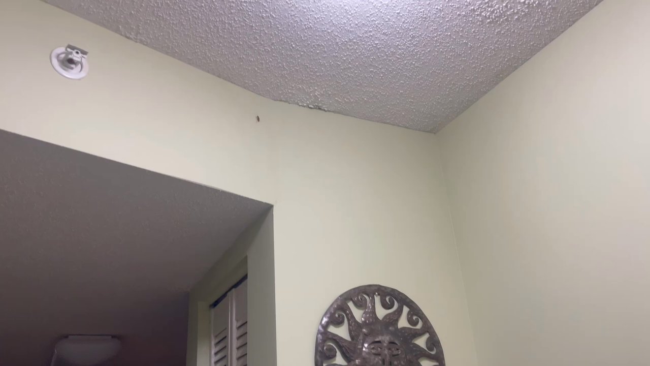 Paradise Resort - Roaches - Resorts Near Me - Myrtle Beach, South Carolina