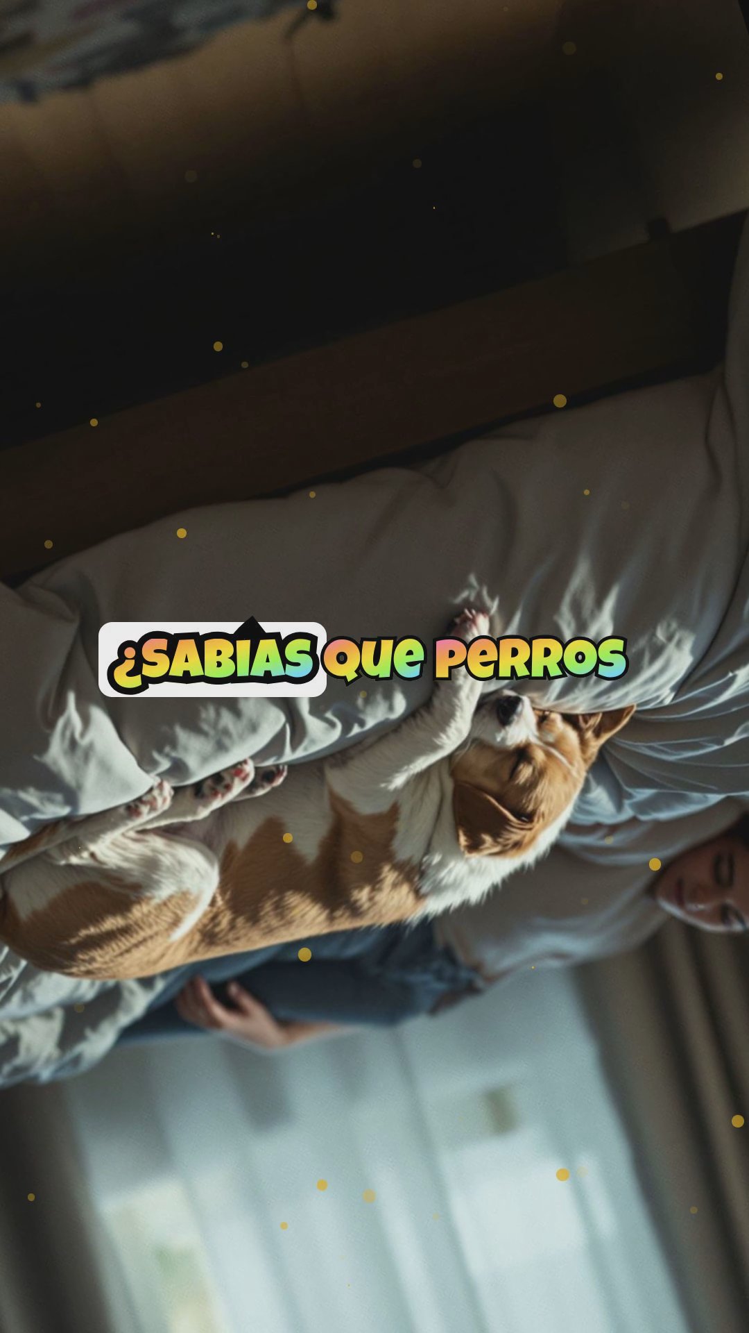 Cómo crear una zona de descanso perfecta para perros y gatos