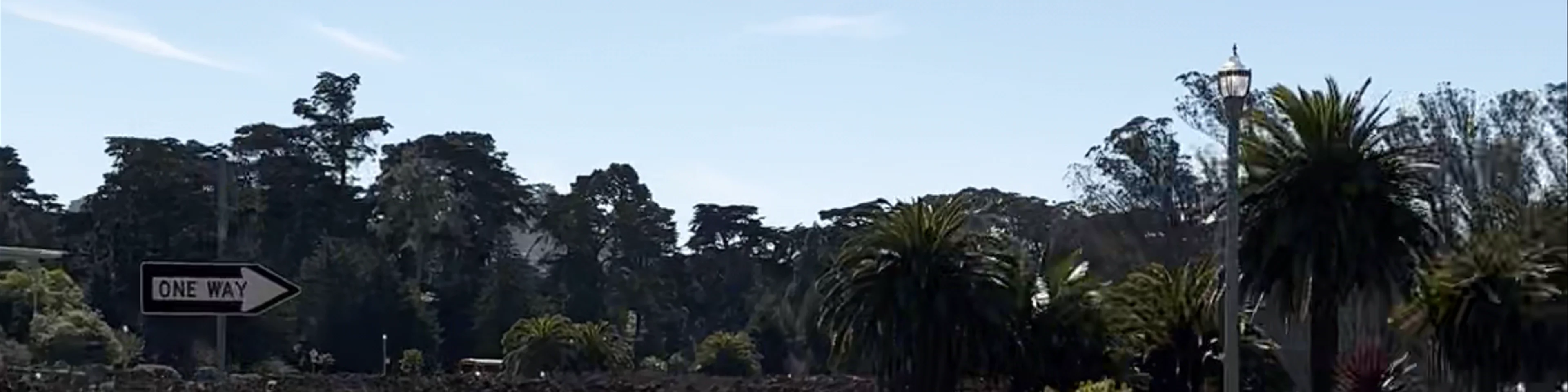 Golden Gate Park