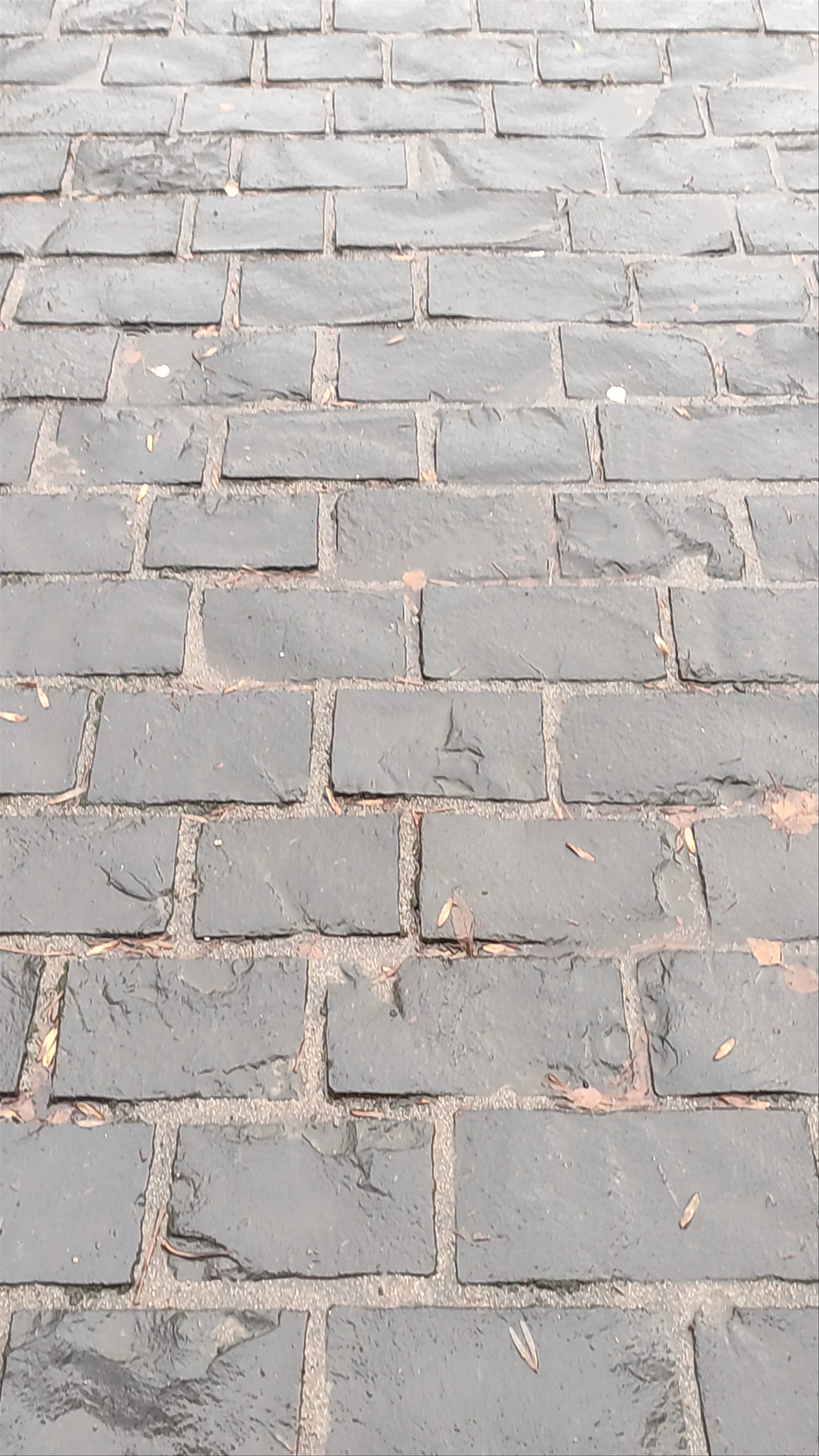 Glasgow Necropolis: A Walk Through Historic Stone Pathways