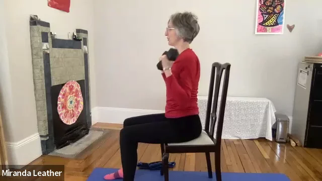 Torso mobility and arm strength. 20 min seated