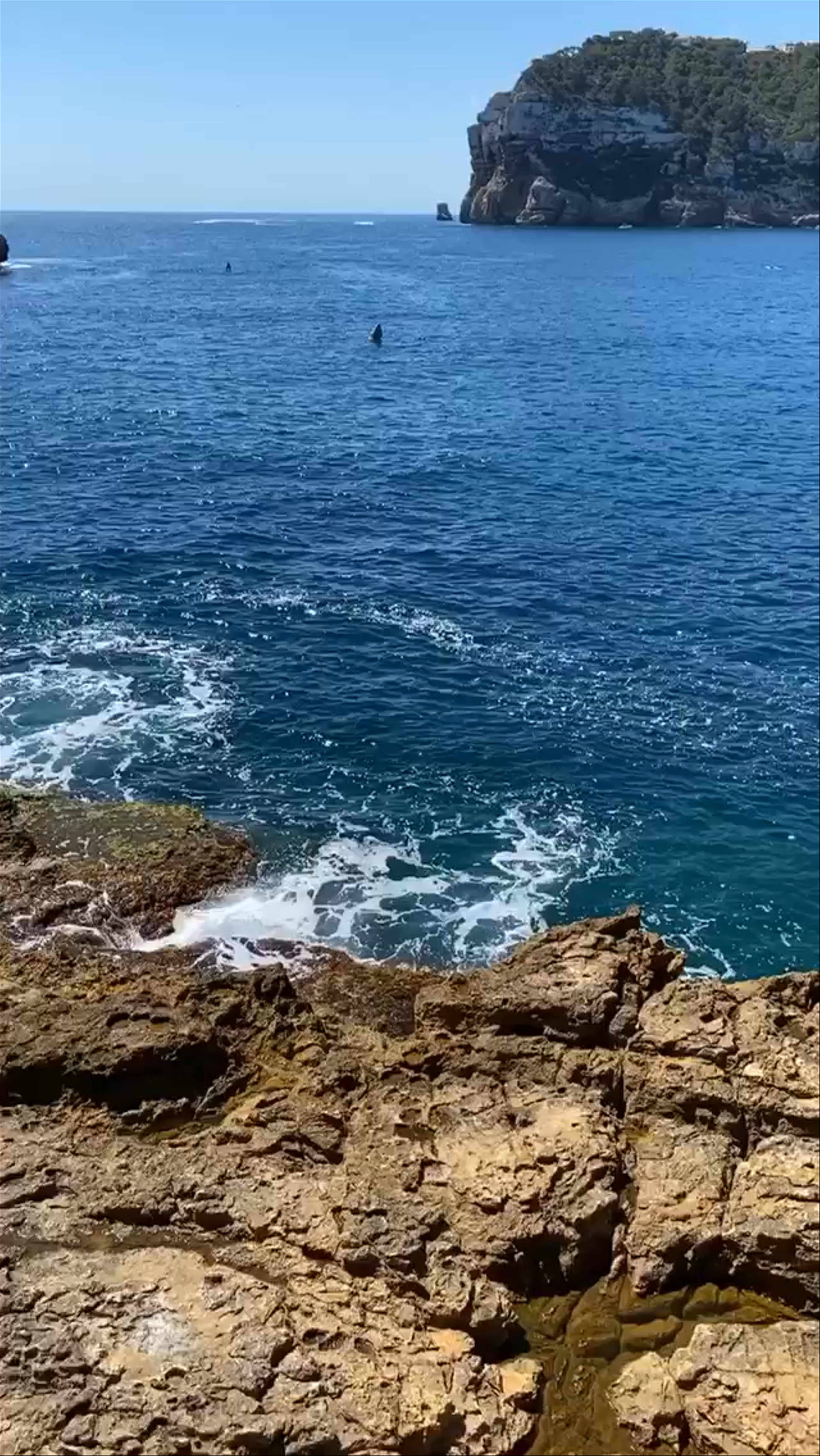 Platja la Barraca