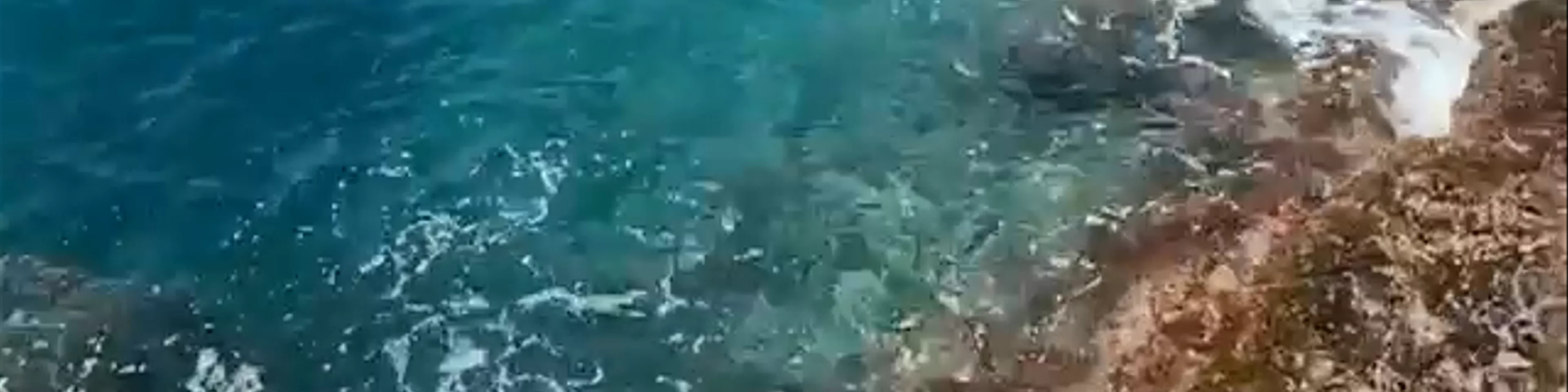 Platja la Barraca