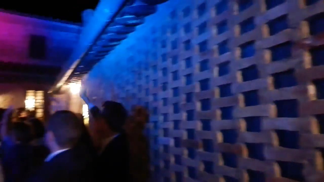 DJ Lozzy - Wedding Reception at Villa Boscarello - video