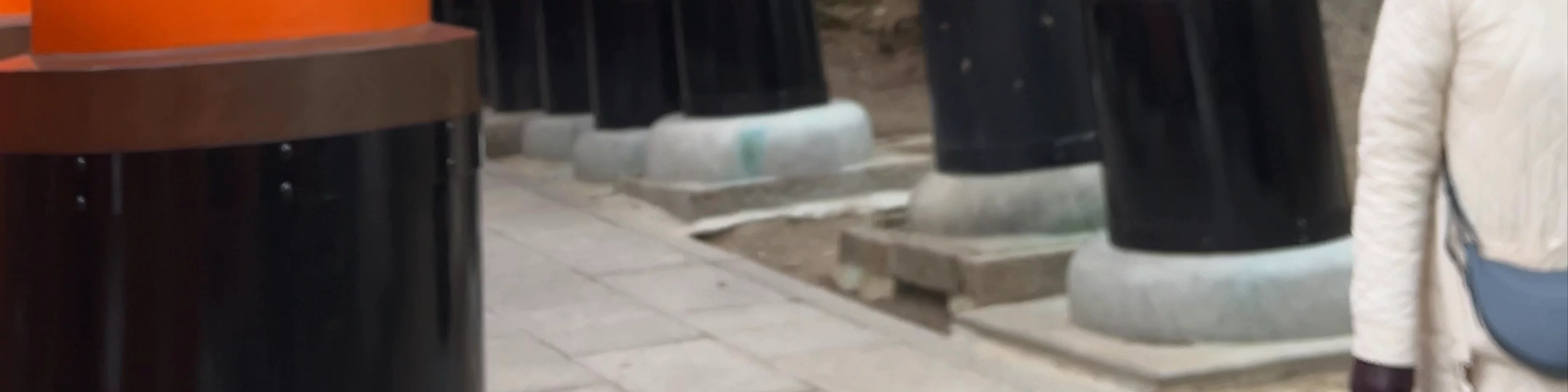 Senbon Torii (Portada de Mil Torii)