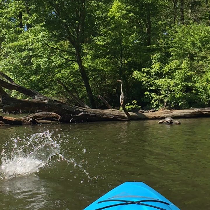 Lums Pond State Park - Boating Near Me - Bear, Delaware