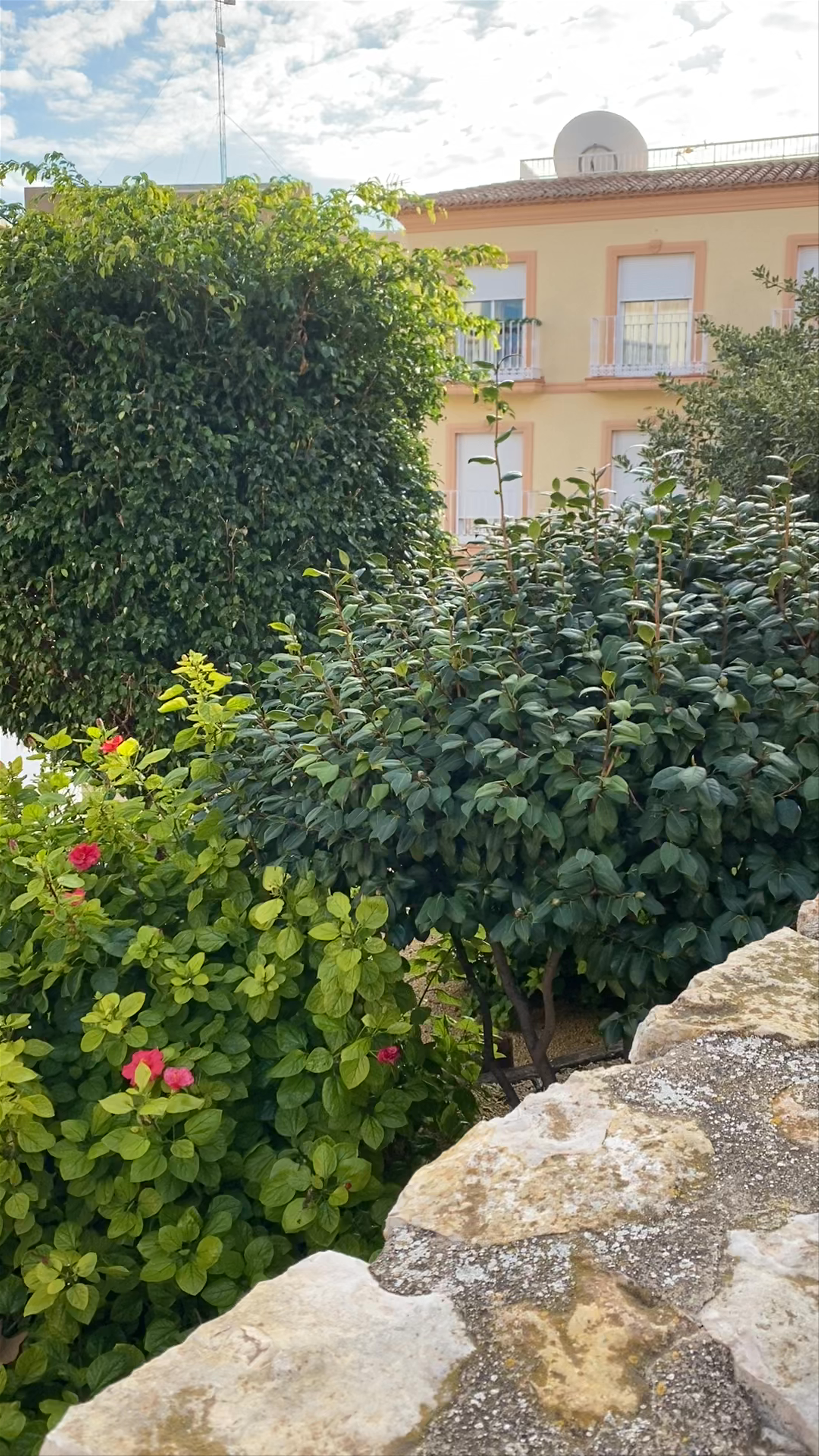 Torreón de "La Peça"