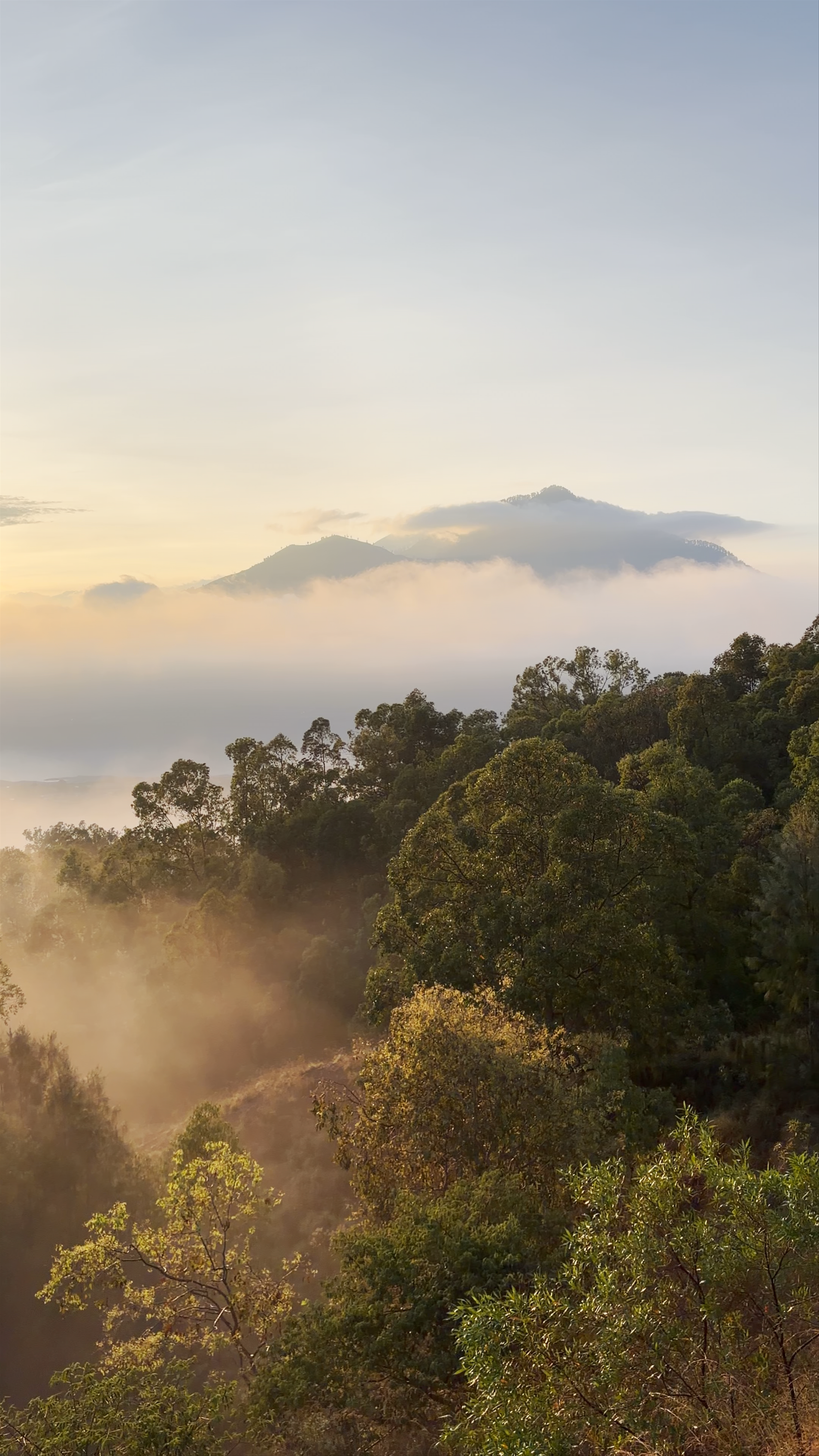 Mount Batur