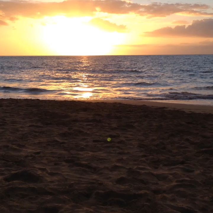 Video thumbnail 2 more videos