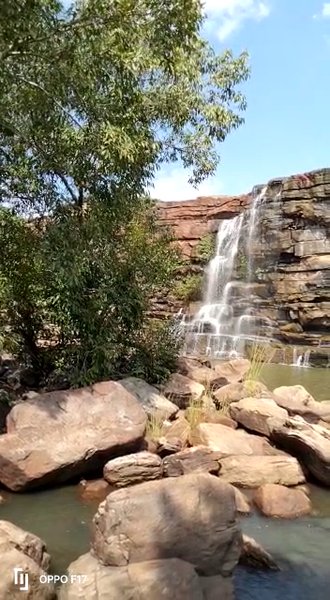 Photo of Neera kal kal kr sar