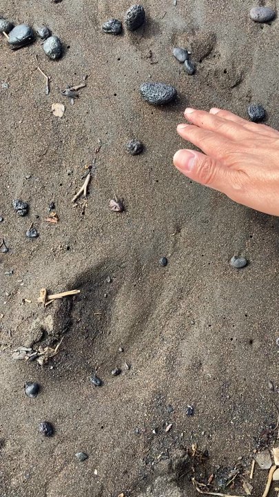 Polynesian Adventure - Black sand beaches - Bus Tours Near Me - Honolulu, Hawaii