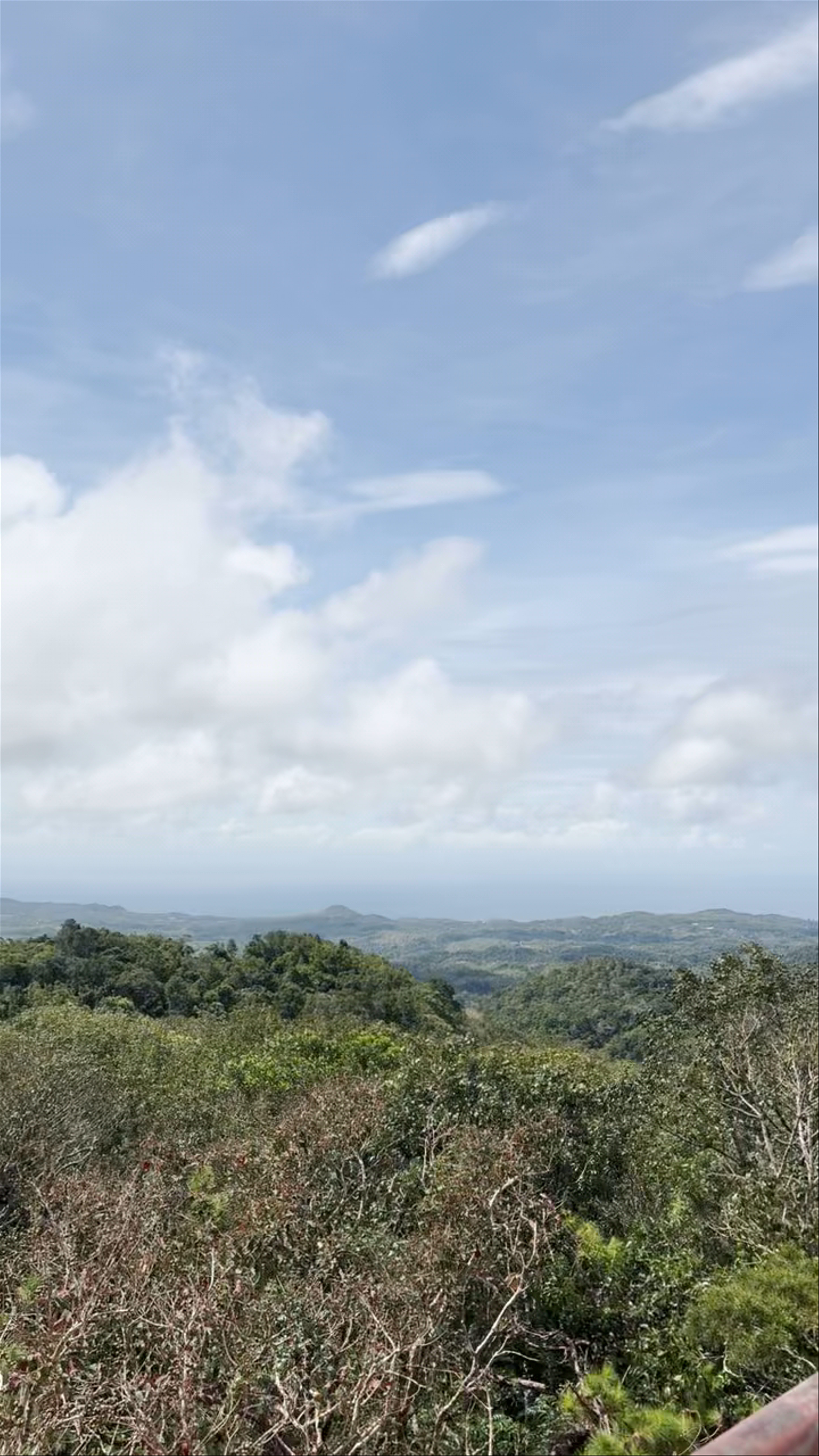 Mt. Bandilaan National Park