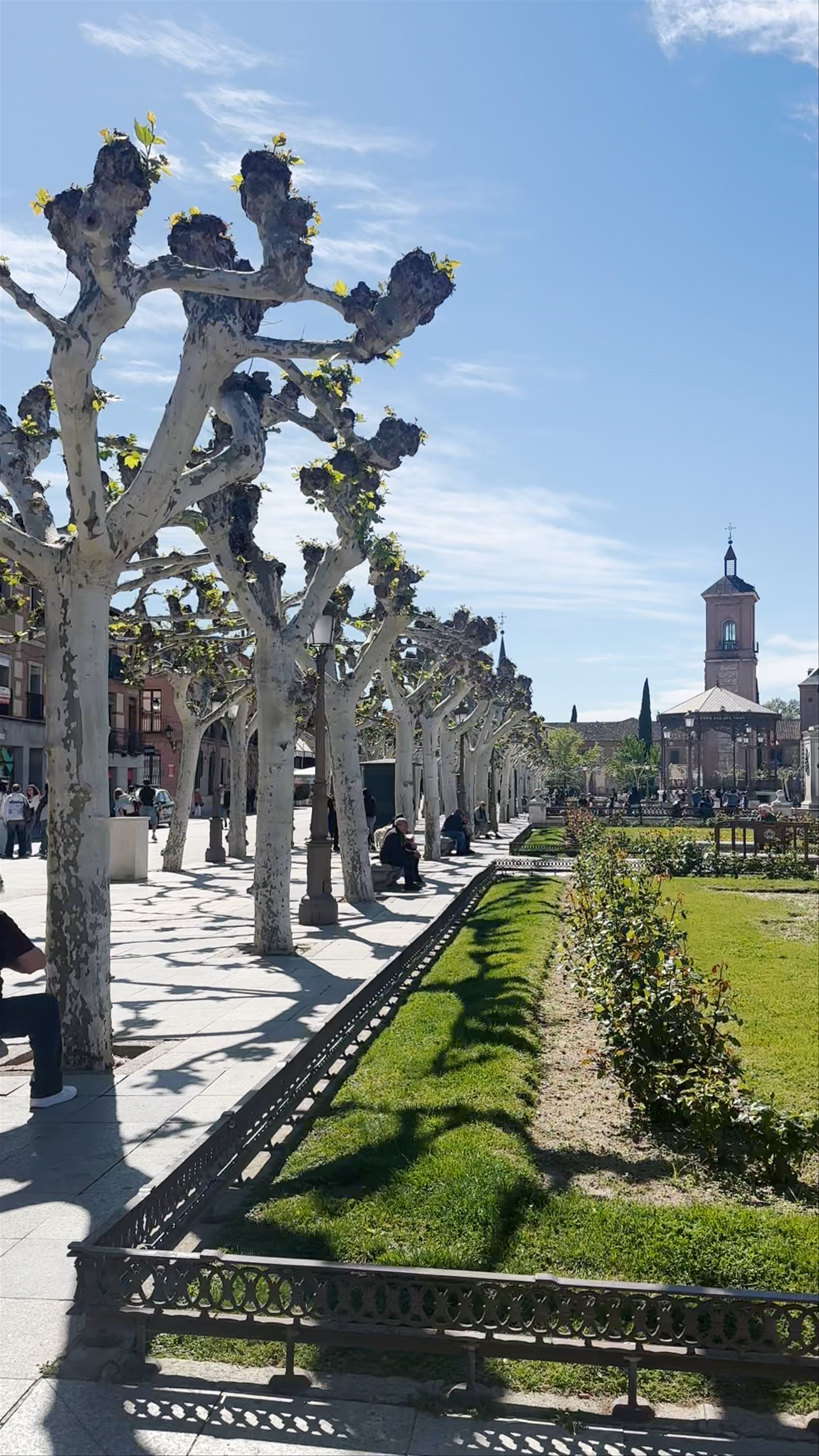 Plaza Cervantes: Sunlit Serenity in Alcalá de Henares