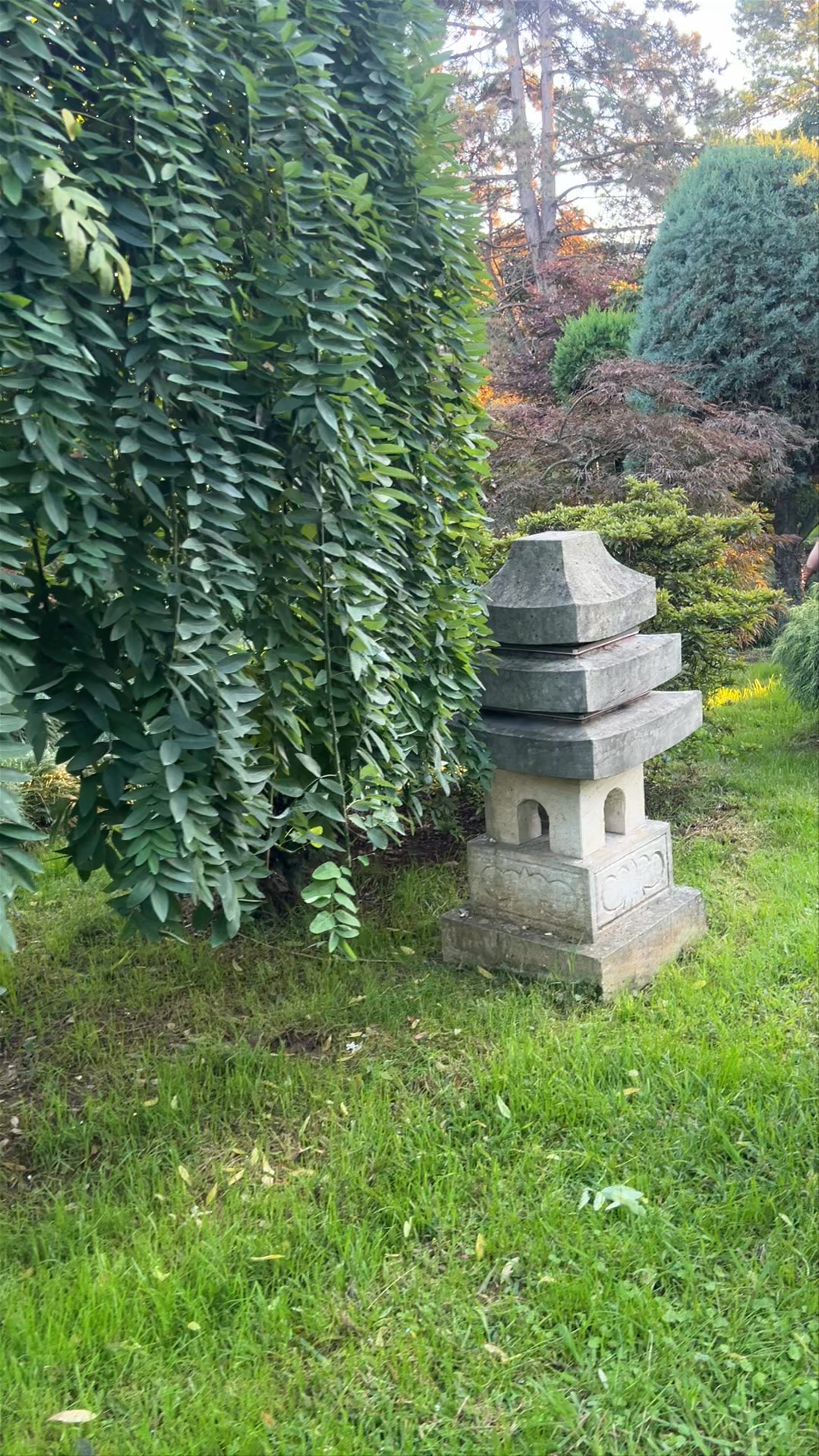 Japanese garden