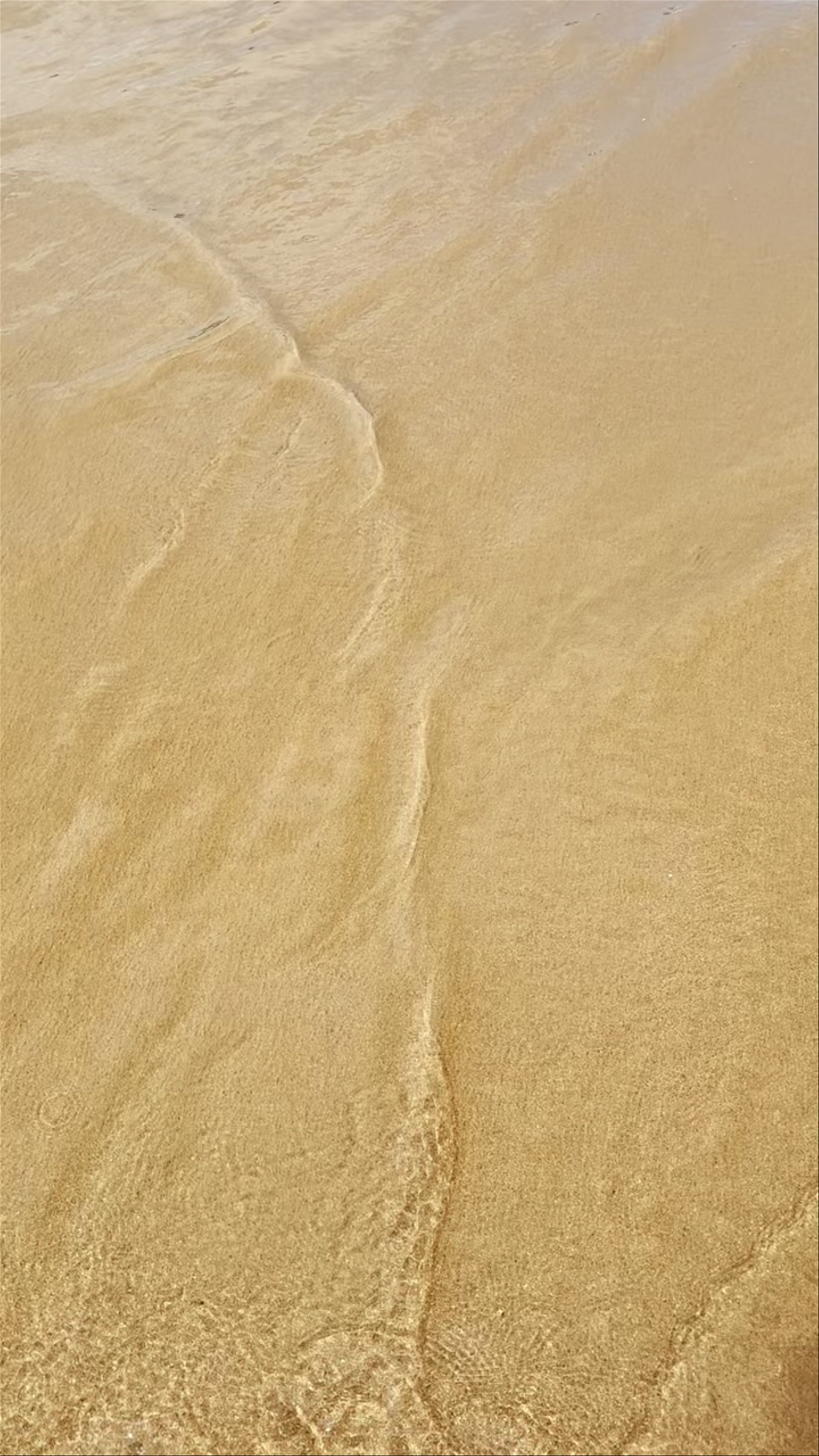 Beach of La Concha