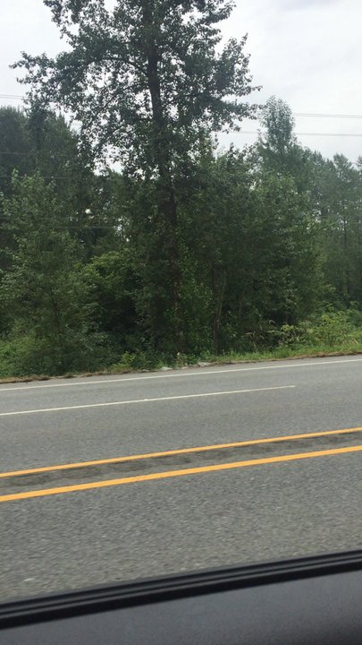 Gates Park - Parks Near Me - Port Coquitlam, British Columbia