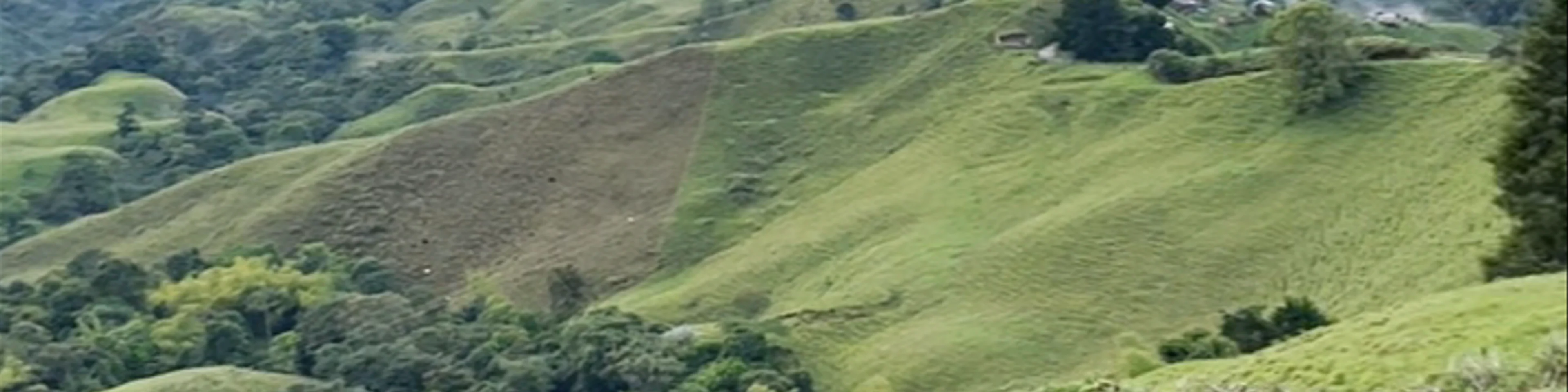 Mirador de Filandia