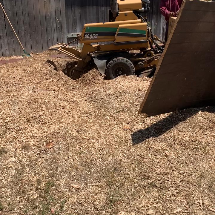 3D Tree Services, Inc. - Grinding massive stump from backyard. - Tree Services Near Me