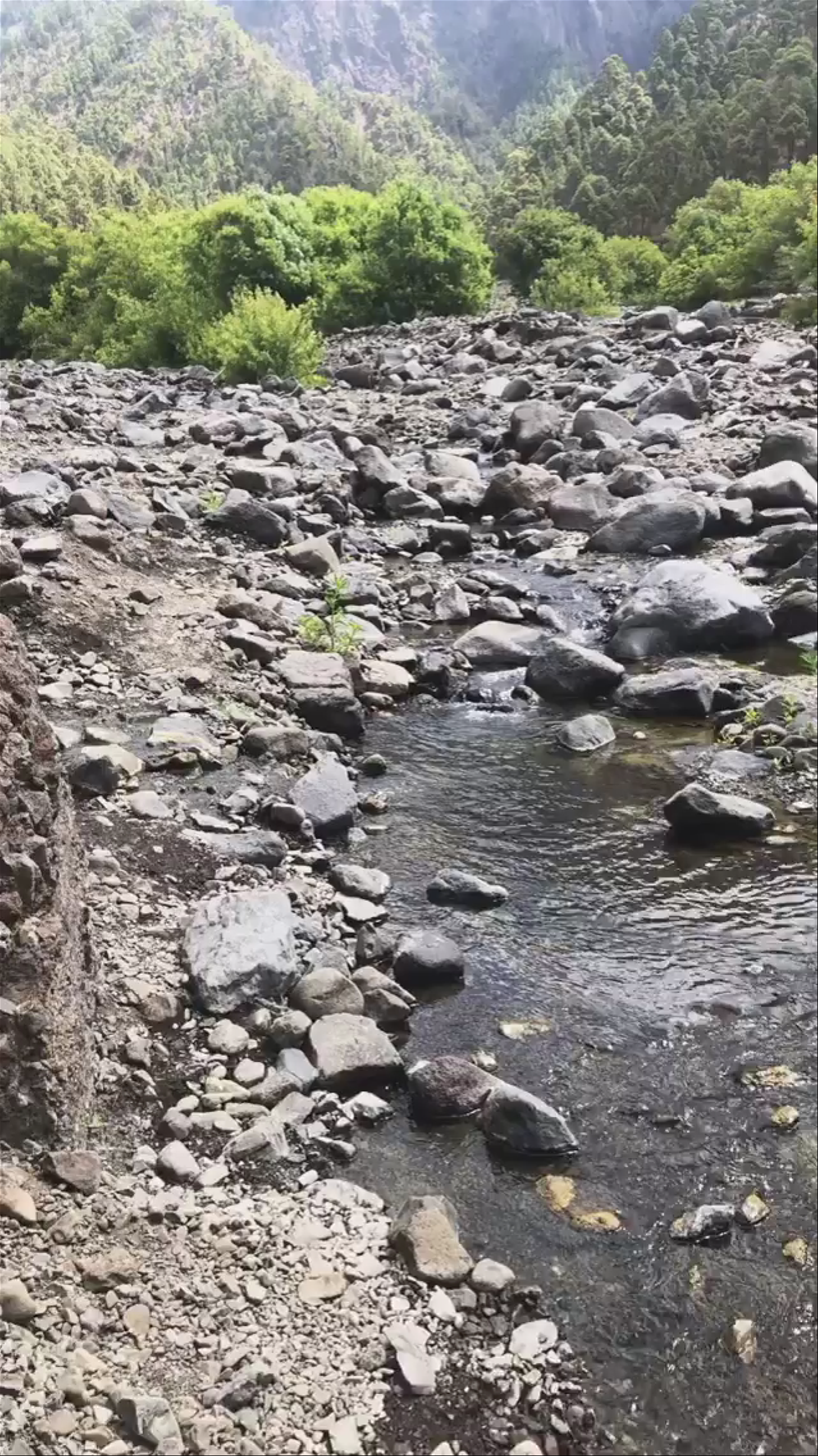 Caldera de Taburiente National Park