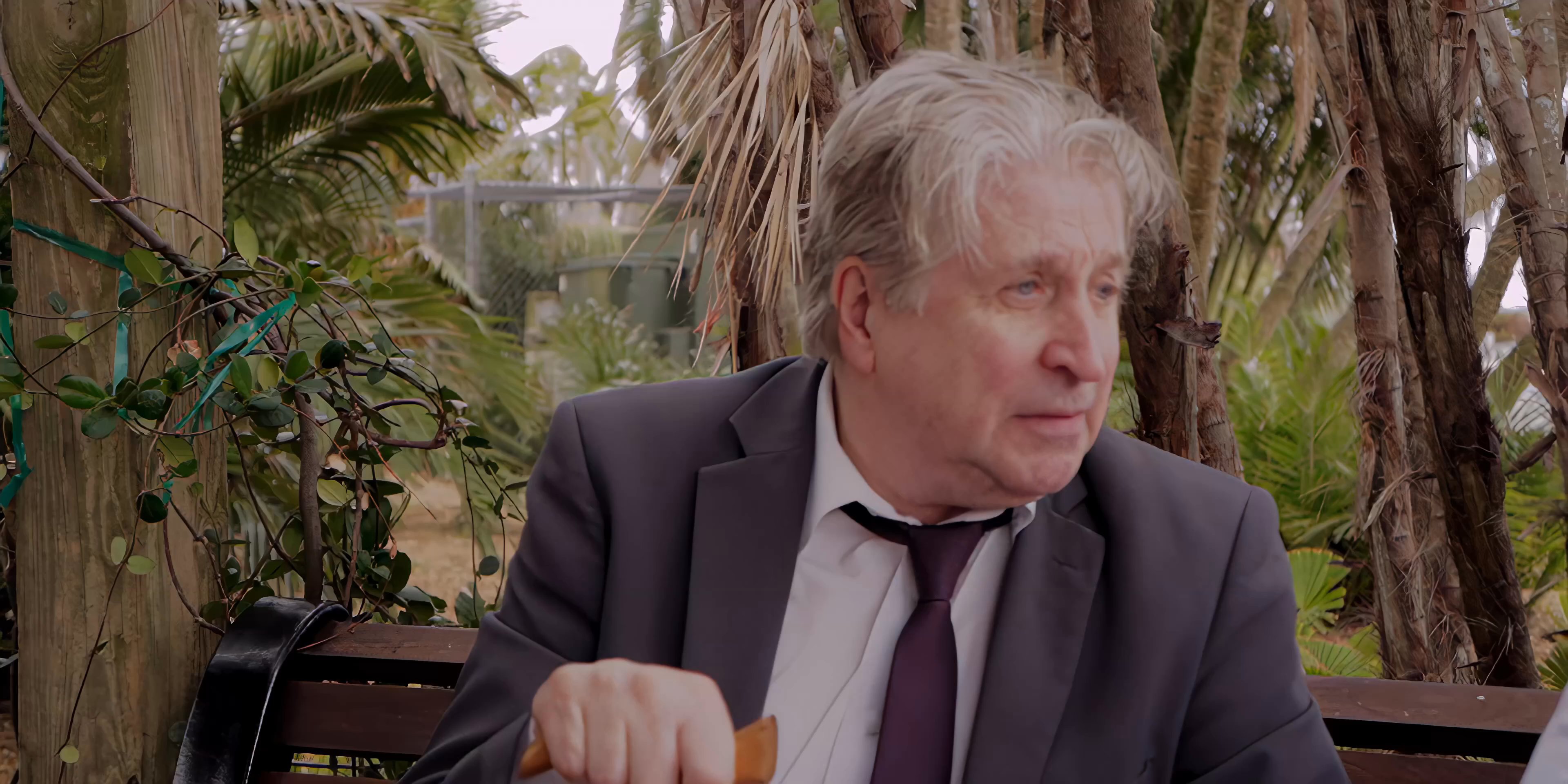 Two mature men engage in an animated conversation while sitting on a park bench. They exchange viewpoints and gestures in an outdoor setting.