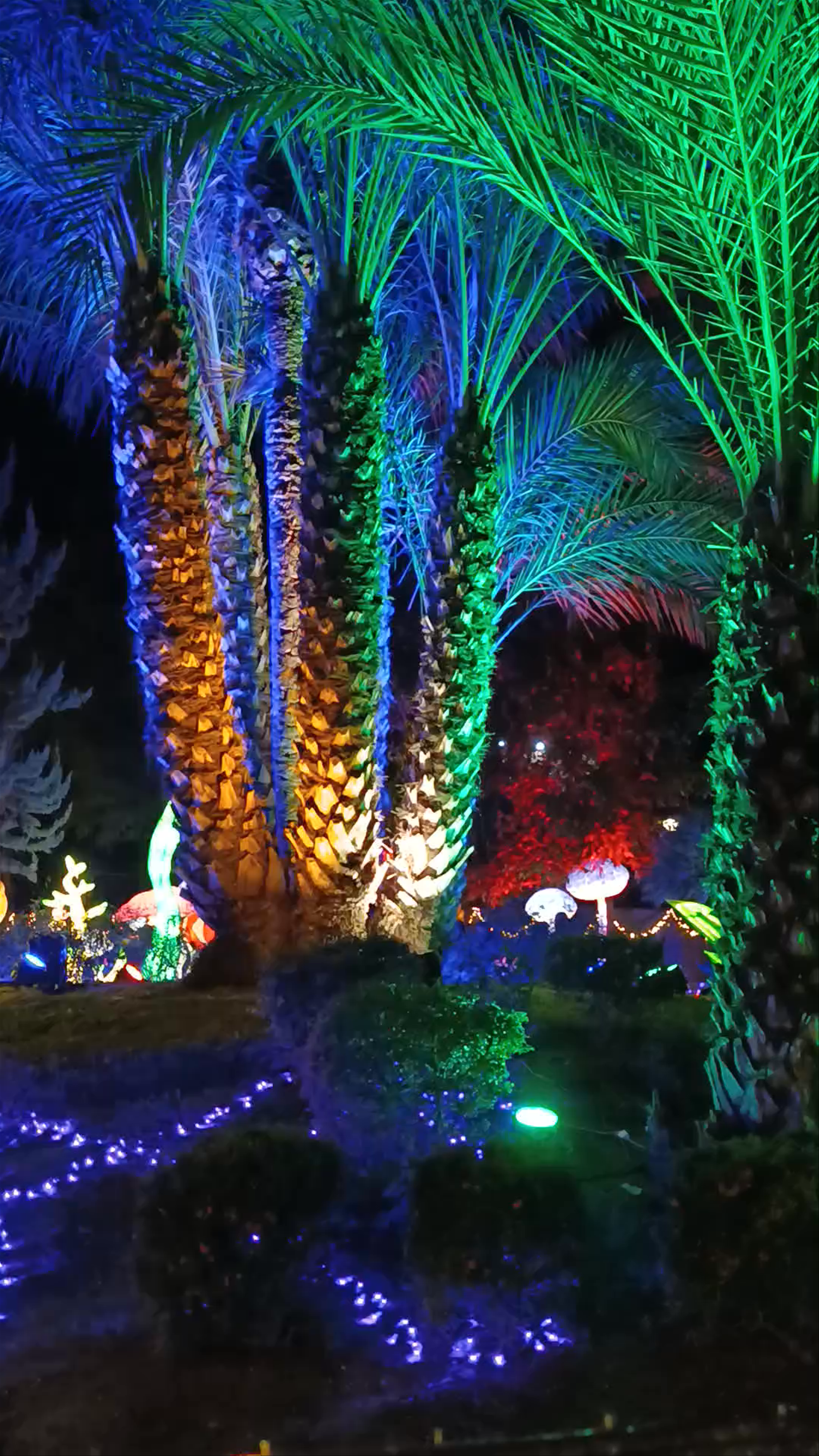 Parque de la Compañía